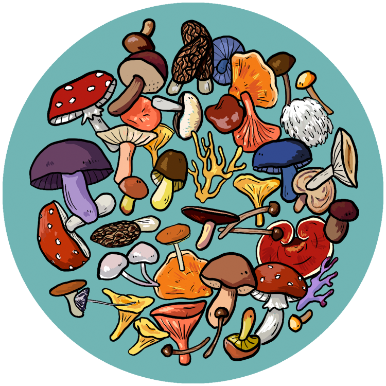 Pin_Mushrooms1.webp