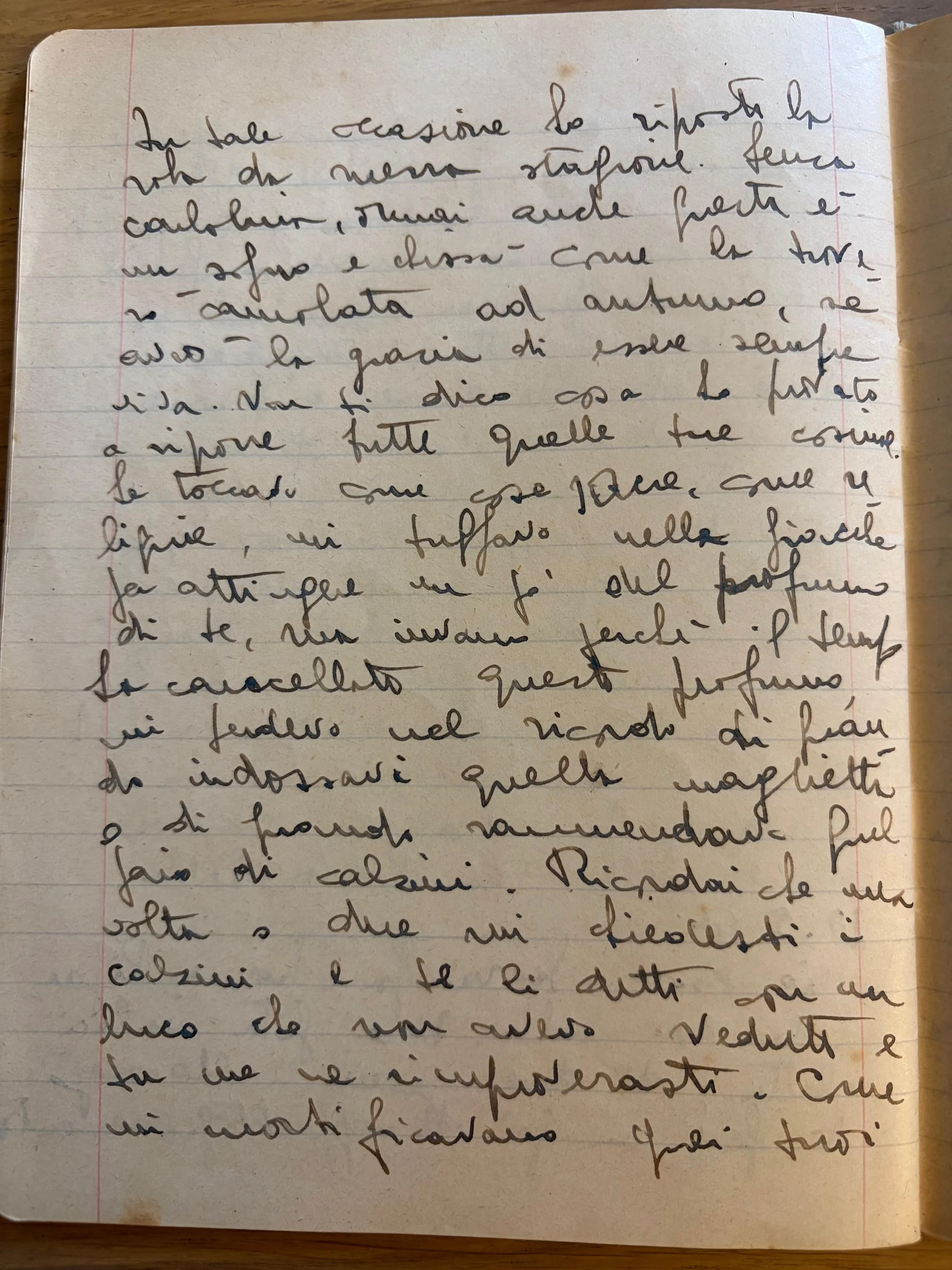 DIARIO 2. 20 Maggio 1944. “Io mi salverò”