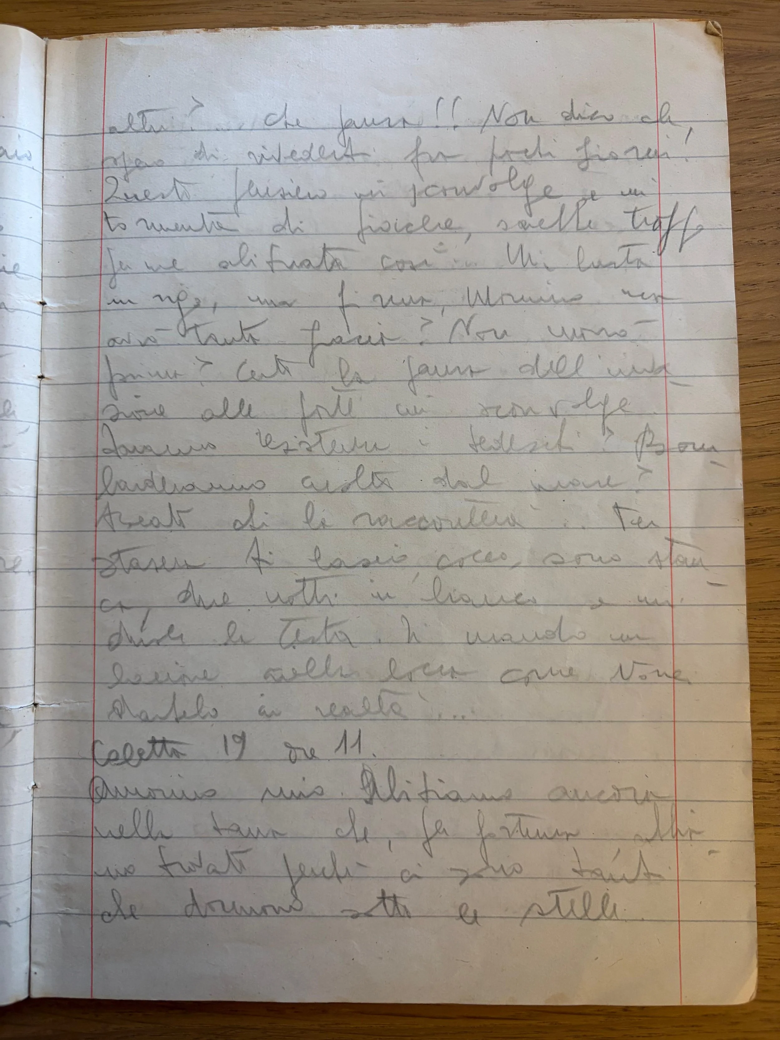 DIARIO 3. 19 Giugno 1944, 11am.“La Tana”