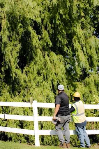 Two construction workers, one in a gray shirt and gray pants and the other in a yellow safety vest and a hard hat, standing by a white fence and looking at tall green trees.