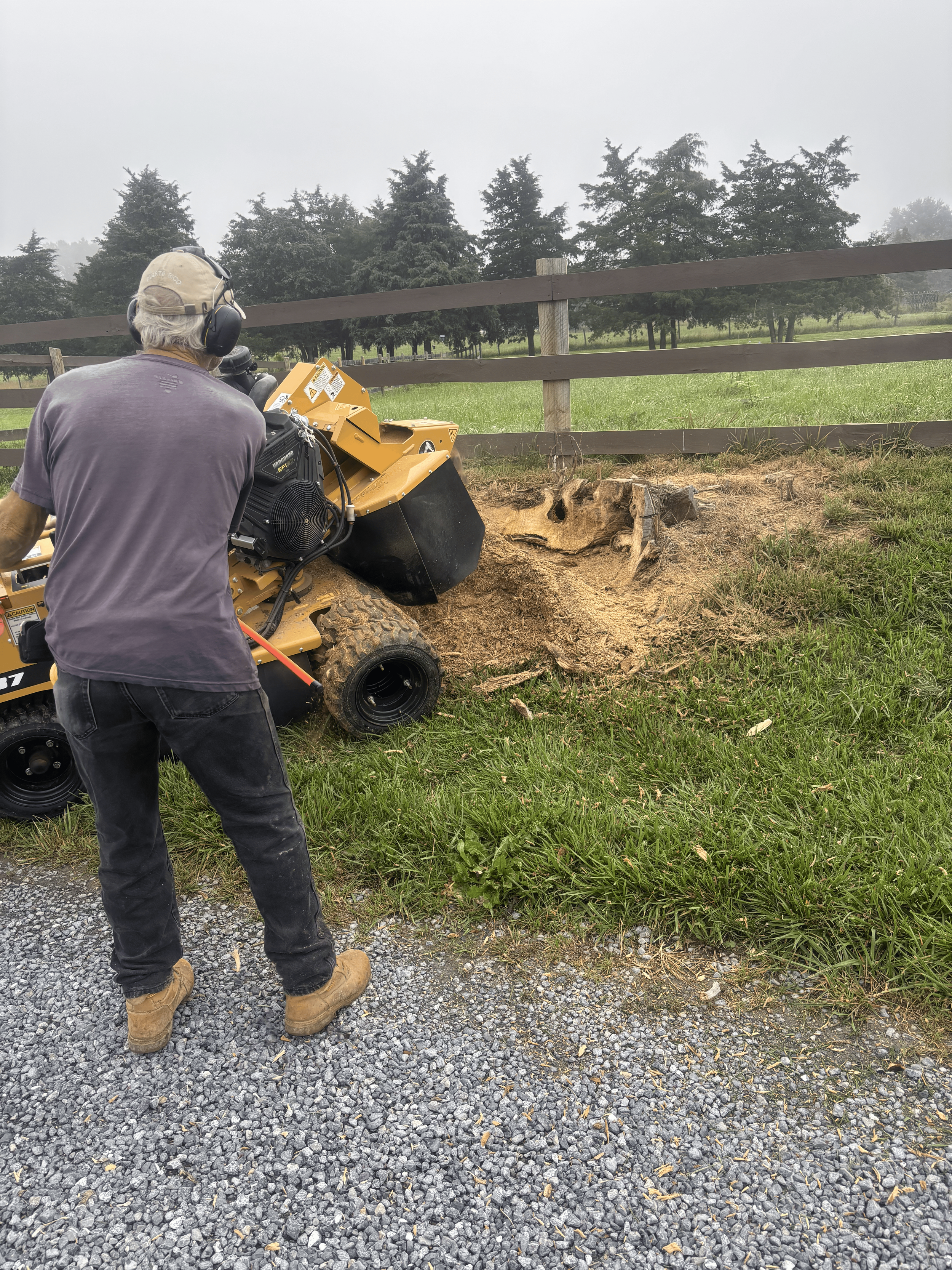 Stump Grinding/Removal