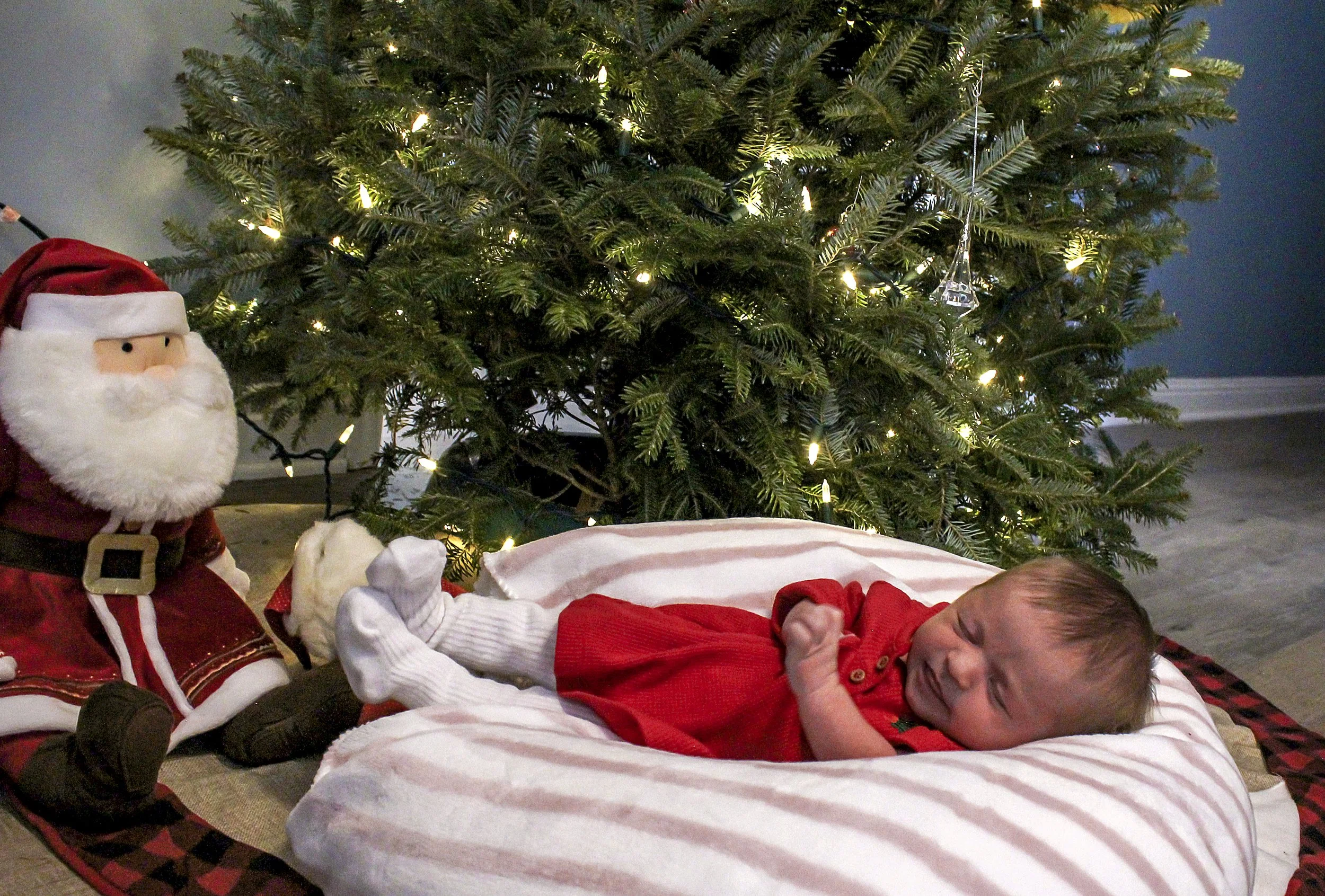 Maggie Ross Dec 2022-221.jpg