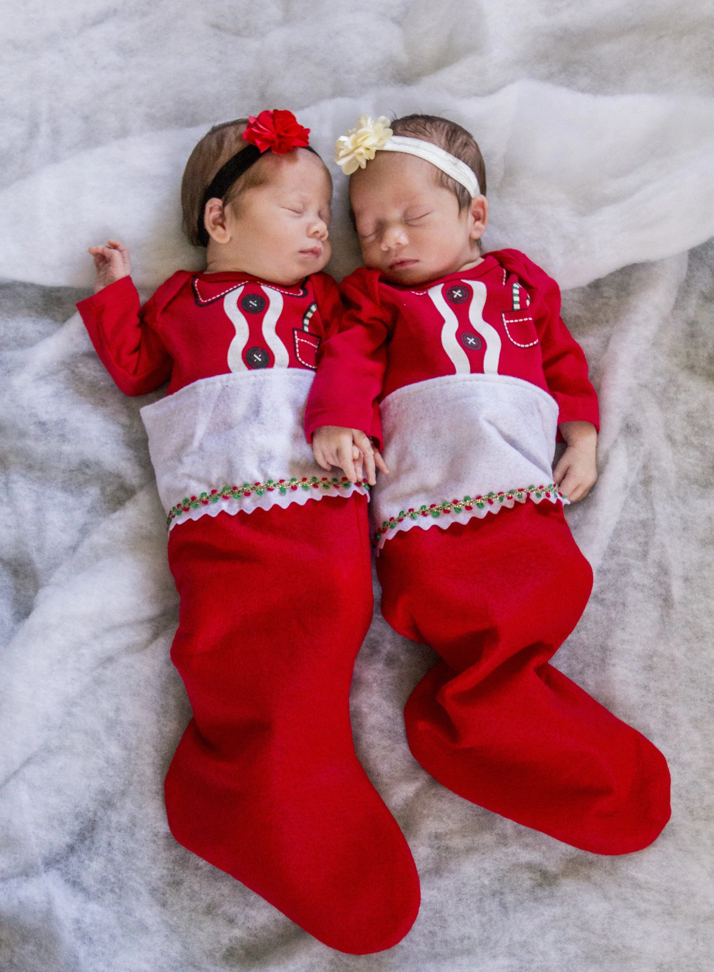Iris & Ivy_12-18-15-22.jpg