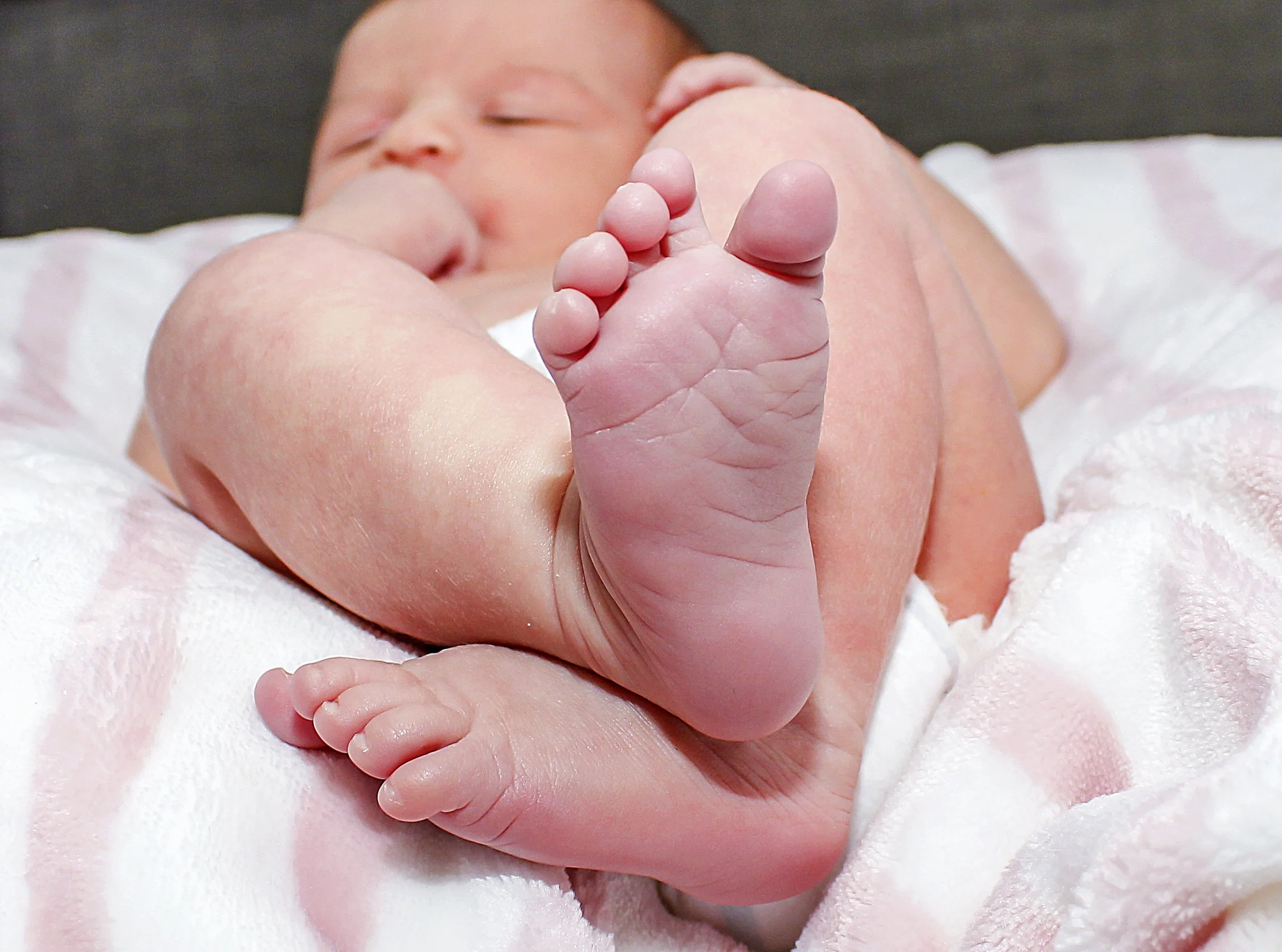 Maggie Ross Dec 2022-277.jpg