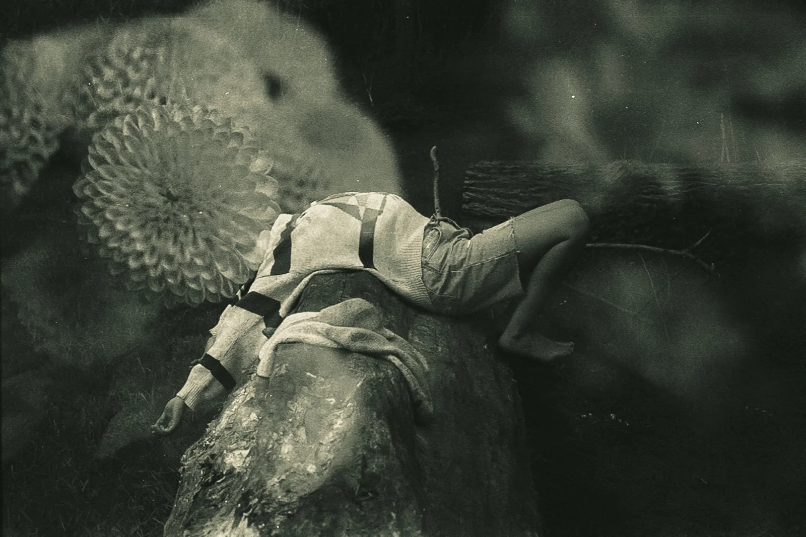 Double exposure on 35mm film, a portrait of a girl stretched across a tree with large flowers around her