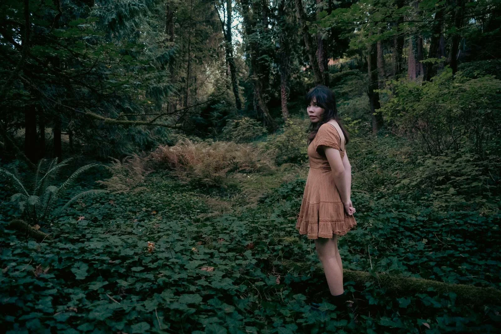 A girl in a brown dress standing in the forest