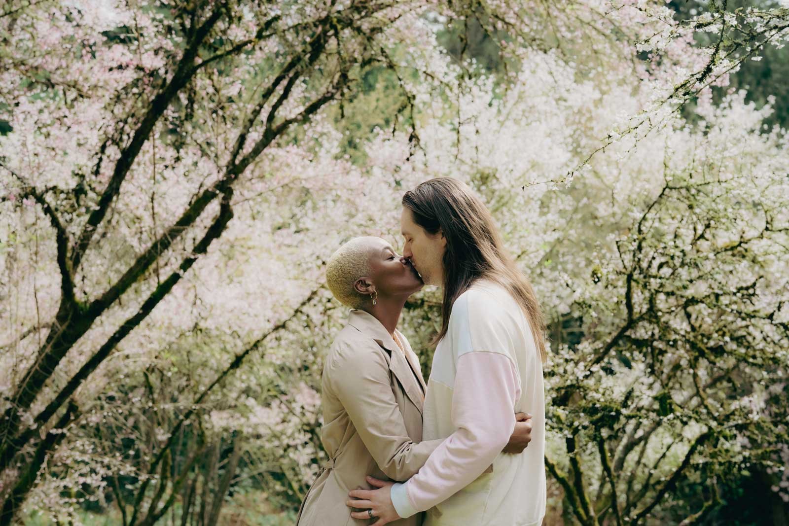 A couple kiss in front of a blooming cherry blossom tree 