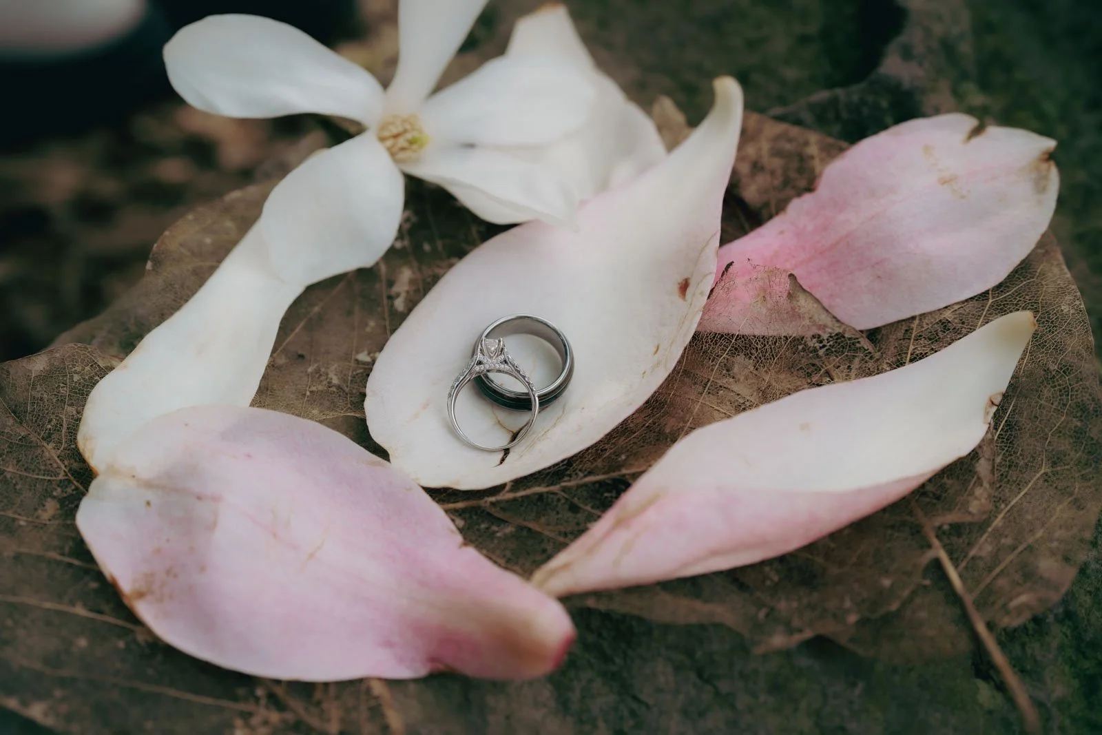  Engagement rings on a bed of flower petals 