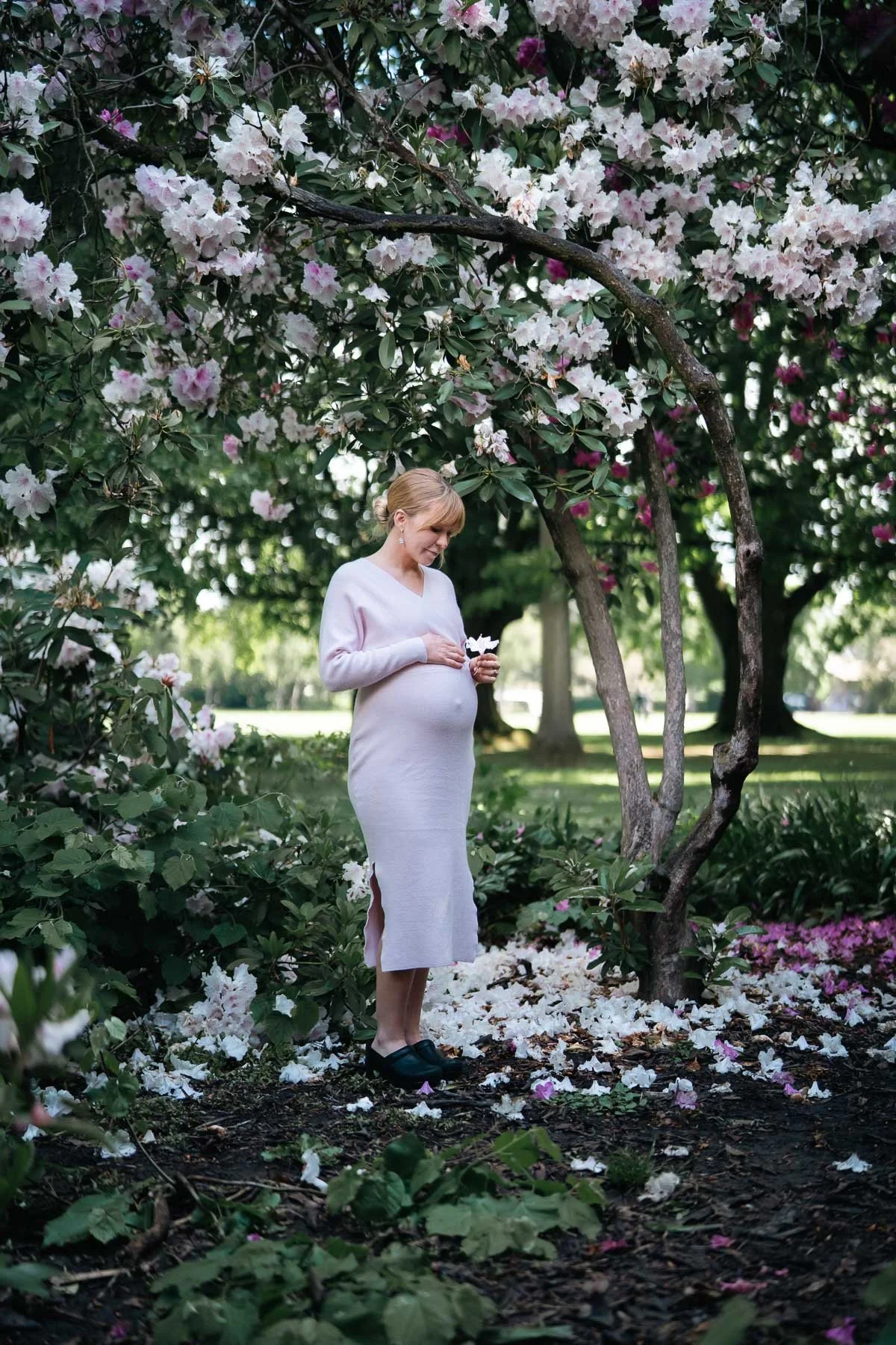 A pregnant woman in a form fitting dress holding a flower, surrounded by blossoming Rhododendron trees