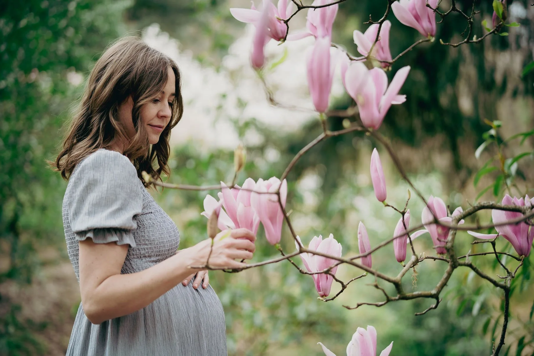A pregnant woman holds her stomach while touching large flowers on a Magnolia tree in Hoyt Arboretum