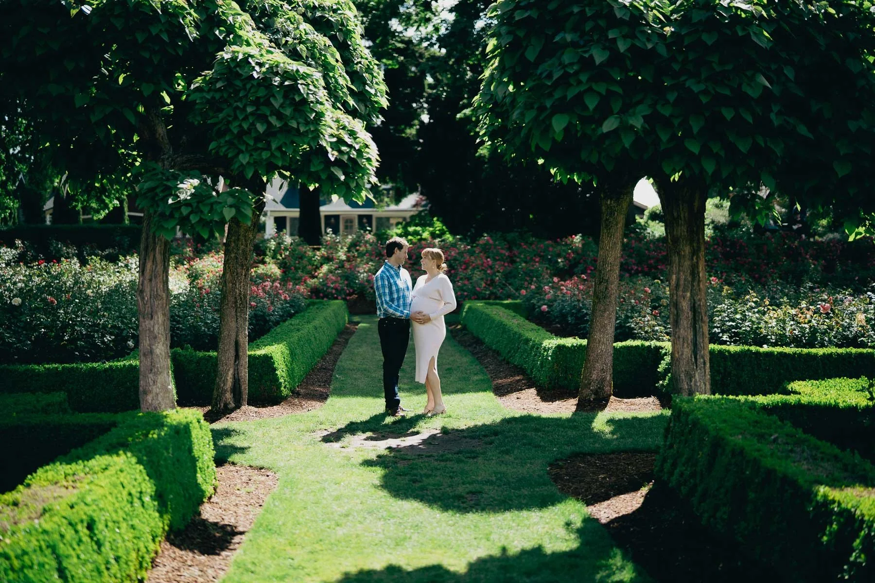 A pregnant couple stands in the Portland Rose Garden surrounded by flowers