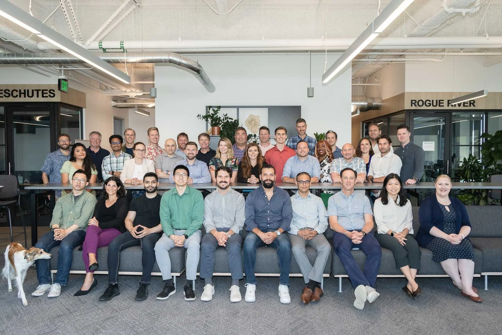 A large group employee portrait