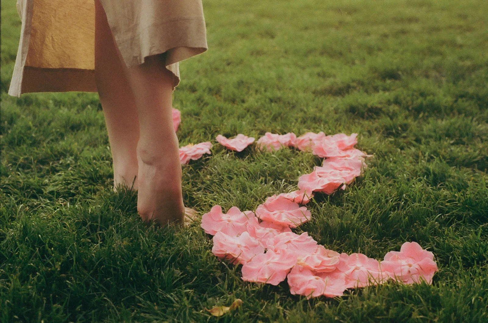 A woman's feet, posed like a dancer, with a string of flower petals at her feet.