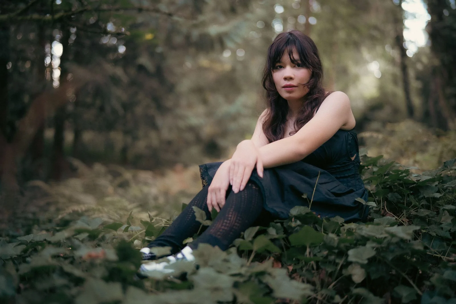 Forest Park senior portrait of a girl in a black dress sitting on the forest floor surrounded by Ivy
