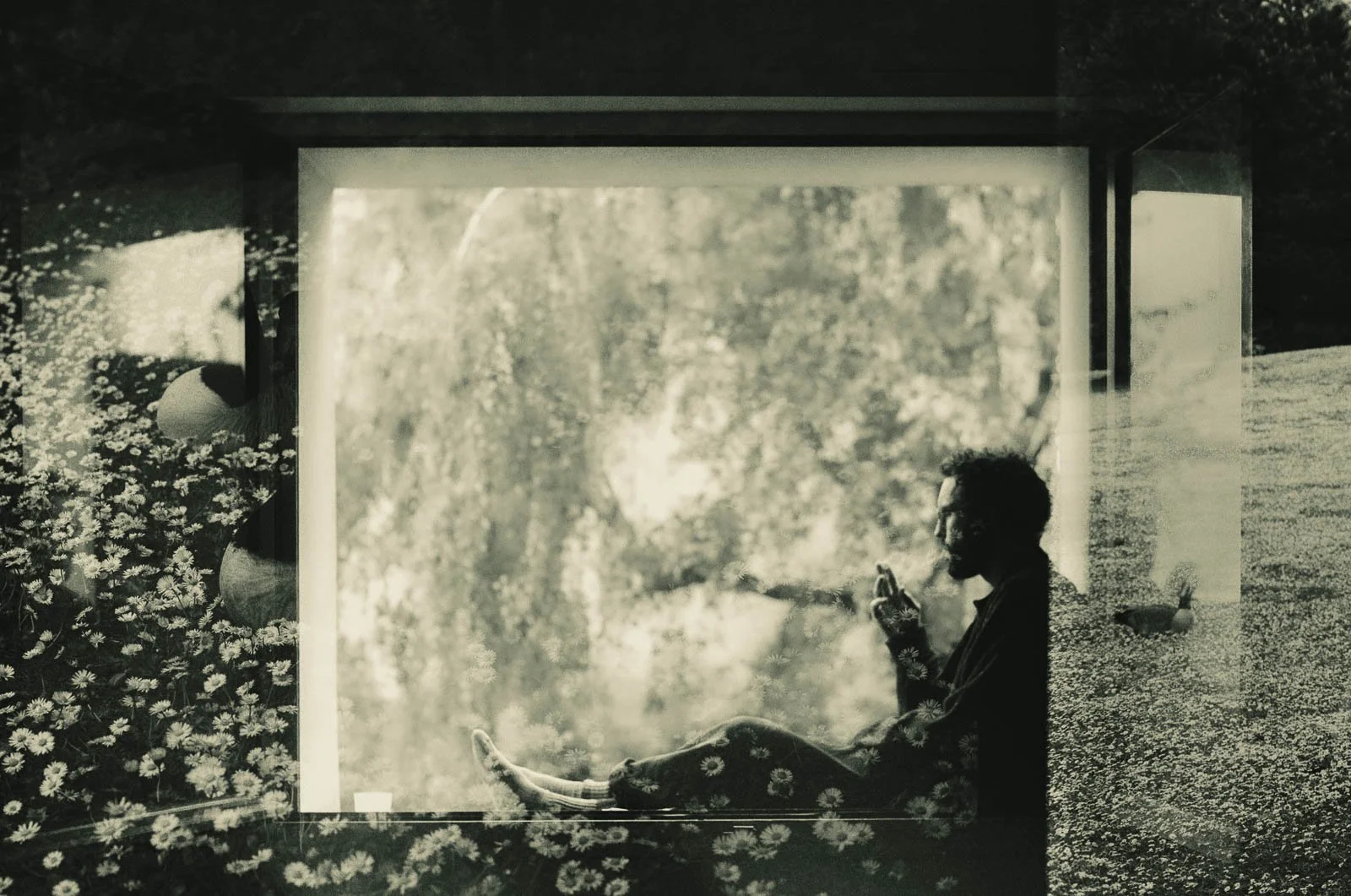 A double exposure, overlapping a boy smoking in a windowsill and a field of daisies
