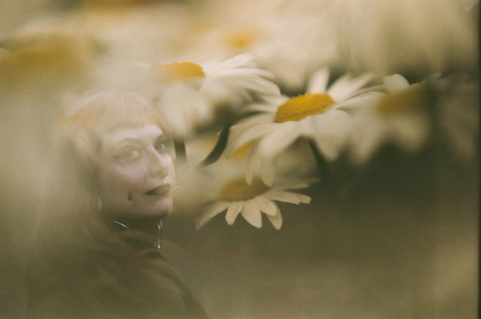 Two merged images, a portrait of a gothic woman immersed in large daisies