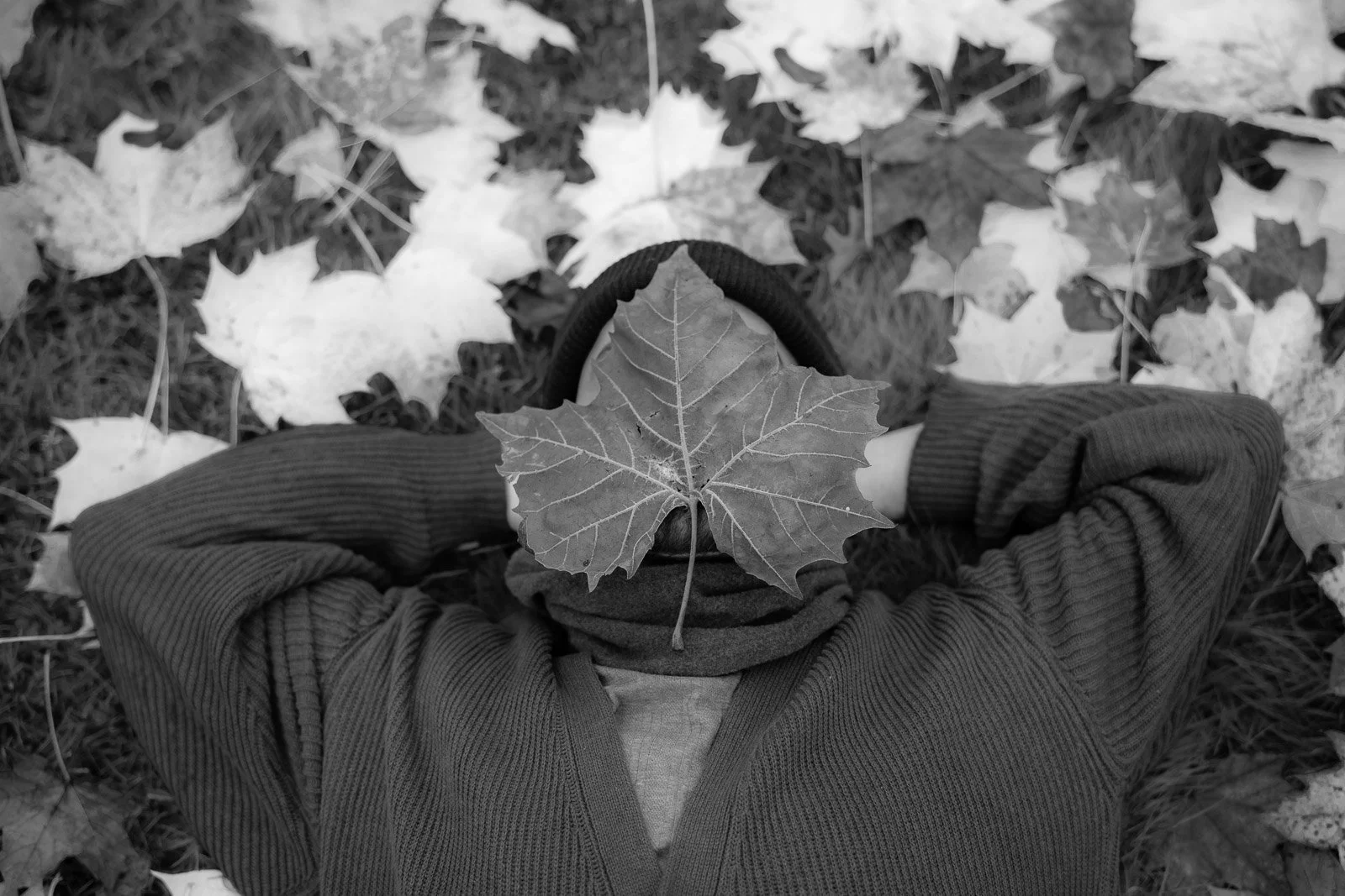 A man laying on the ground, arms crossed behind his head, with a large leaf covering his face