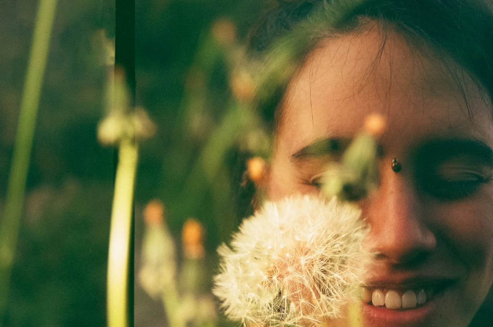 A girl with her eyes closed, with a ladybug on her face and a large dandelion in front of her