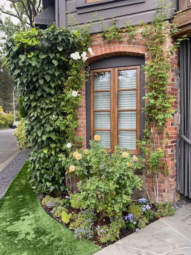 The exterior of The French Laundry restaurant in Yountville with a wooden framed window surrounded by lush green ivy and flowering plants, with a sidewalk and street to the left.