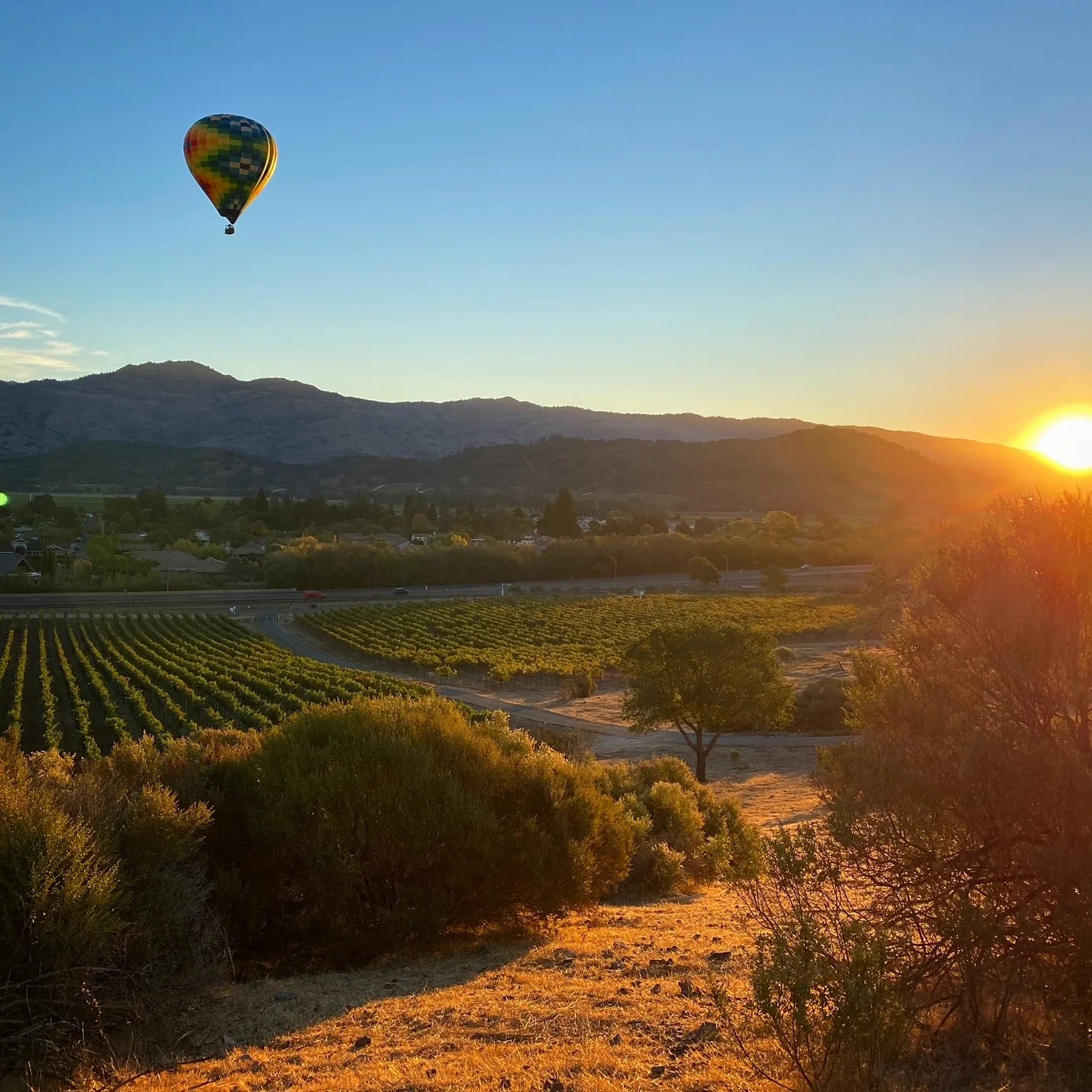 A hot air balloon floating in the sky over a rural landscape during sunset, with vineyards, trees, and distant mountains.
