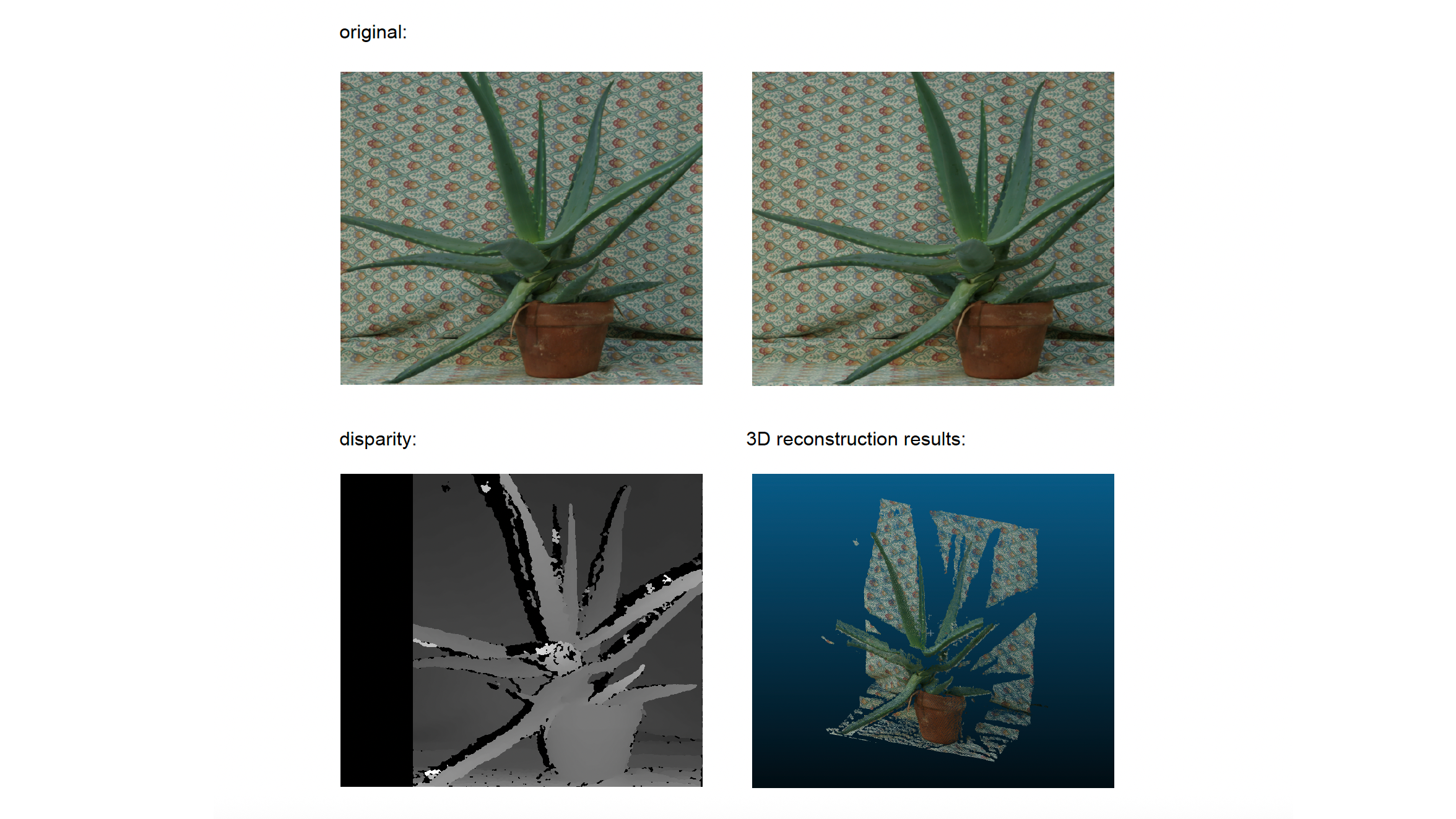 Stereo-Vision Depth Mapping