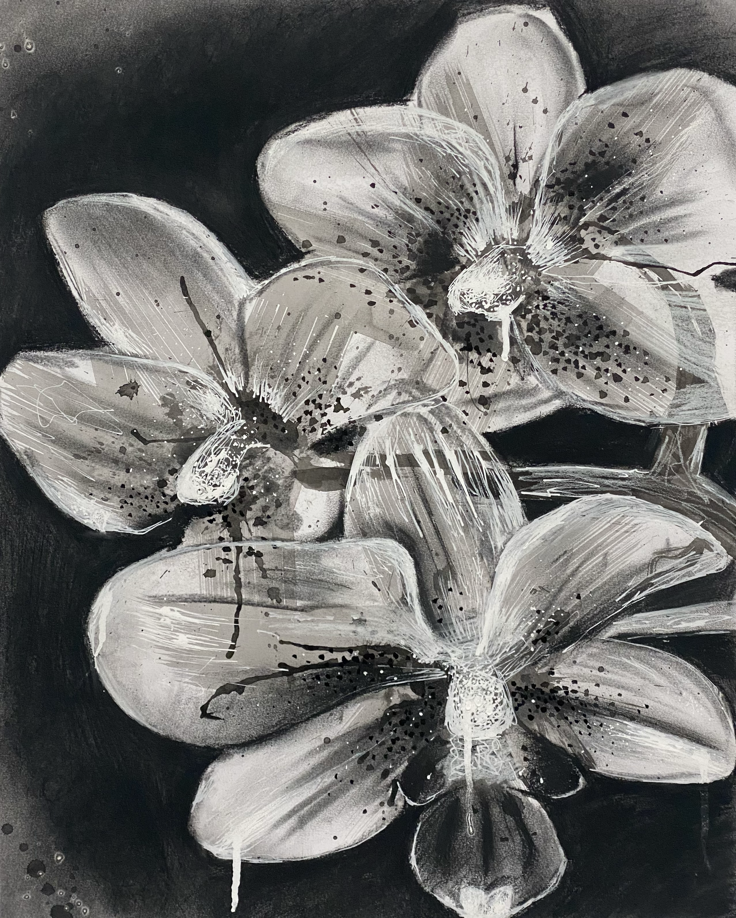 Untitled, 2023. Sumi ink and charcoal on paper.