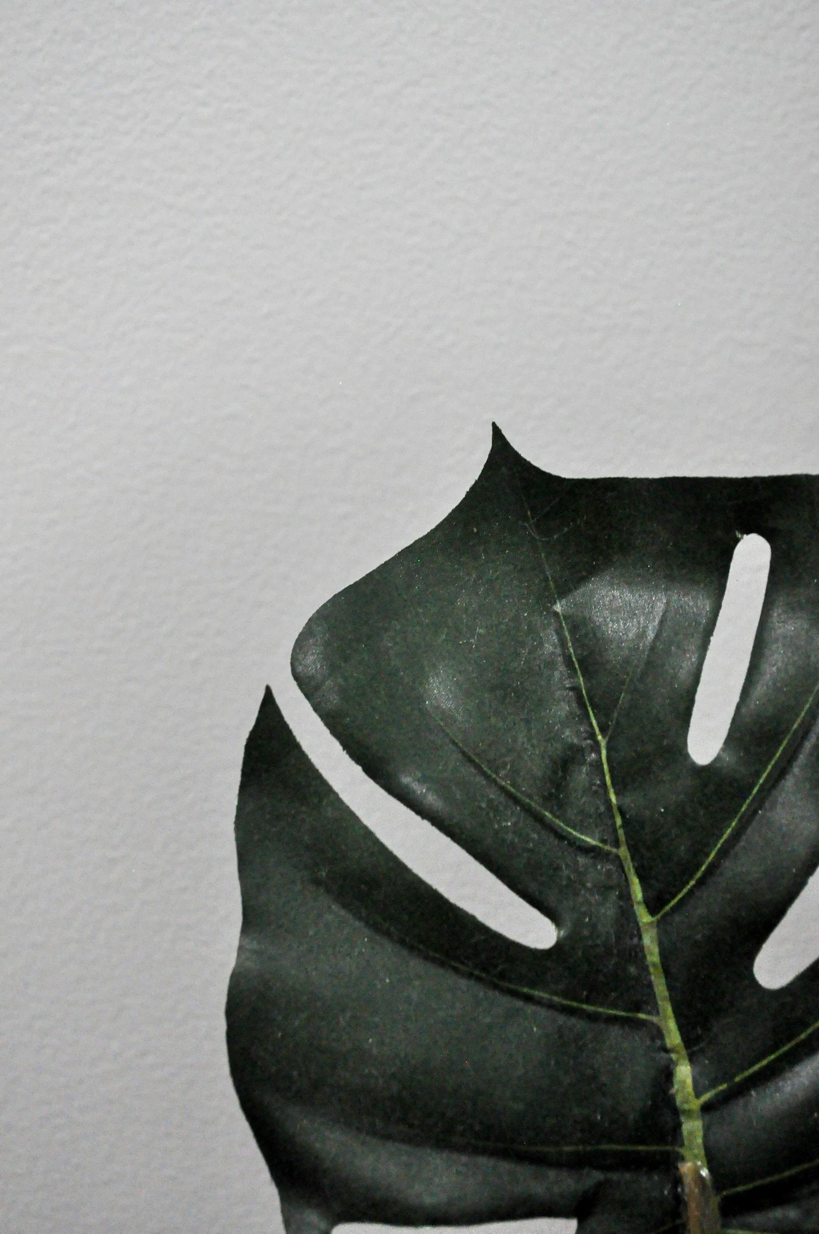 Light-based facial treatment at Valley + Oak