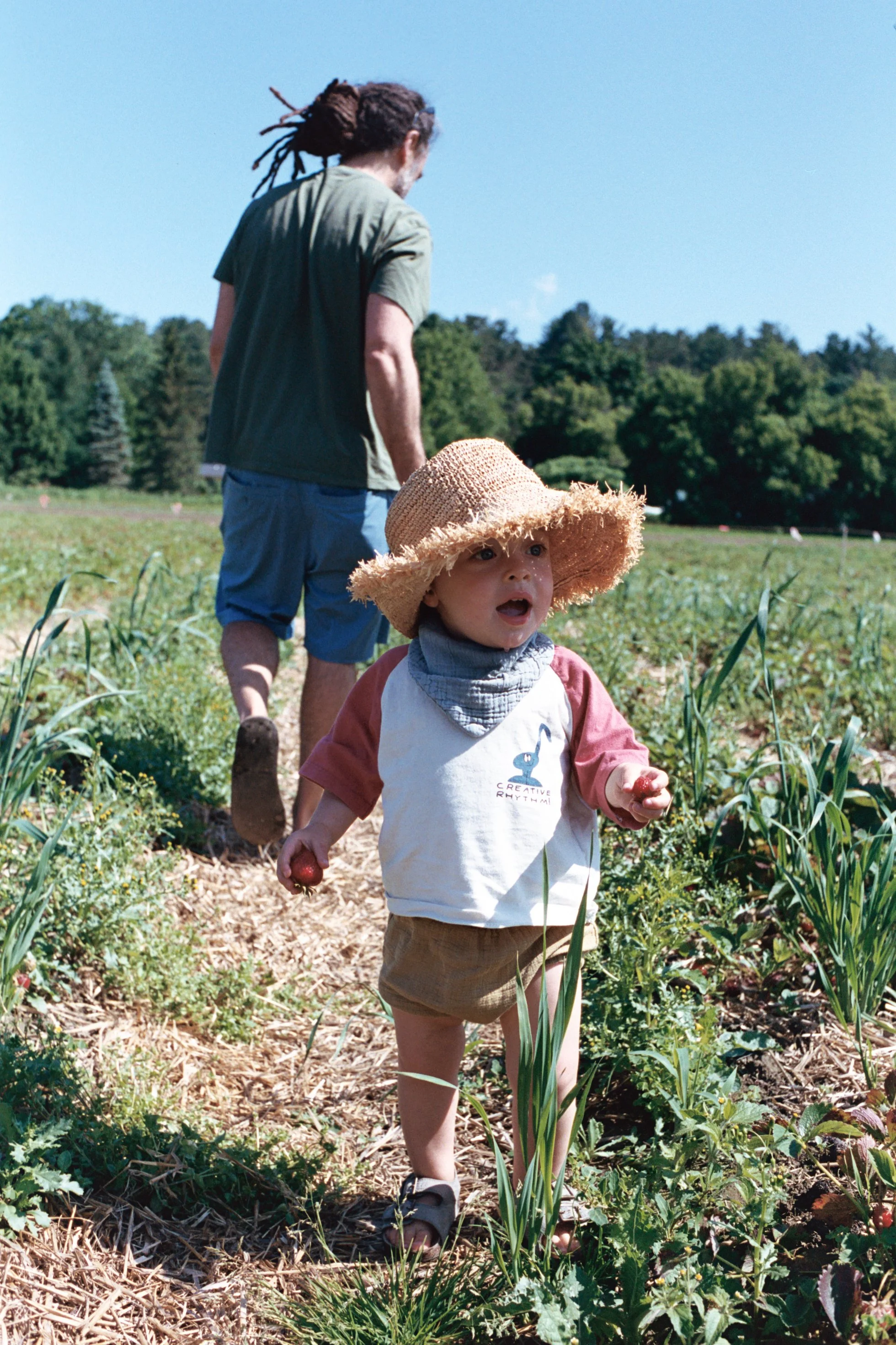A young child in a wide-brimmed straw hat and casual clothing is walking through a field of crops, holding a small red fruit or vegetable. An adult is walking ahead of the child, dressed in a green shirt and blue shorts, in a rural outdoor setting with green trees and a clear blue sky.