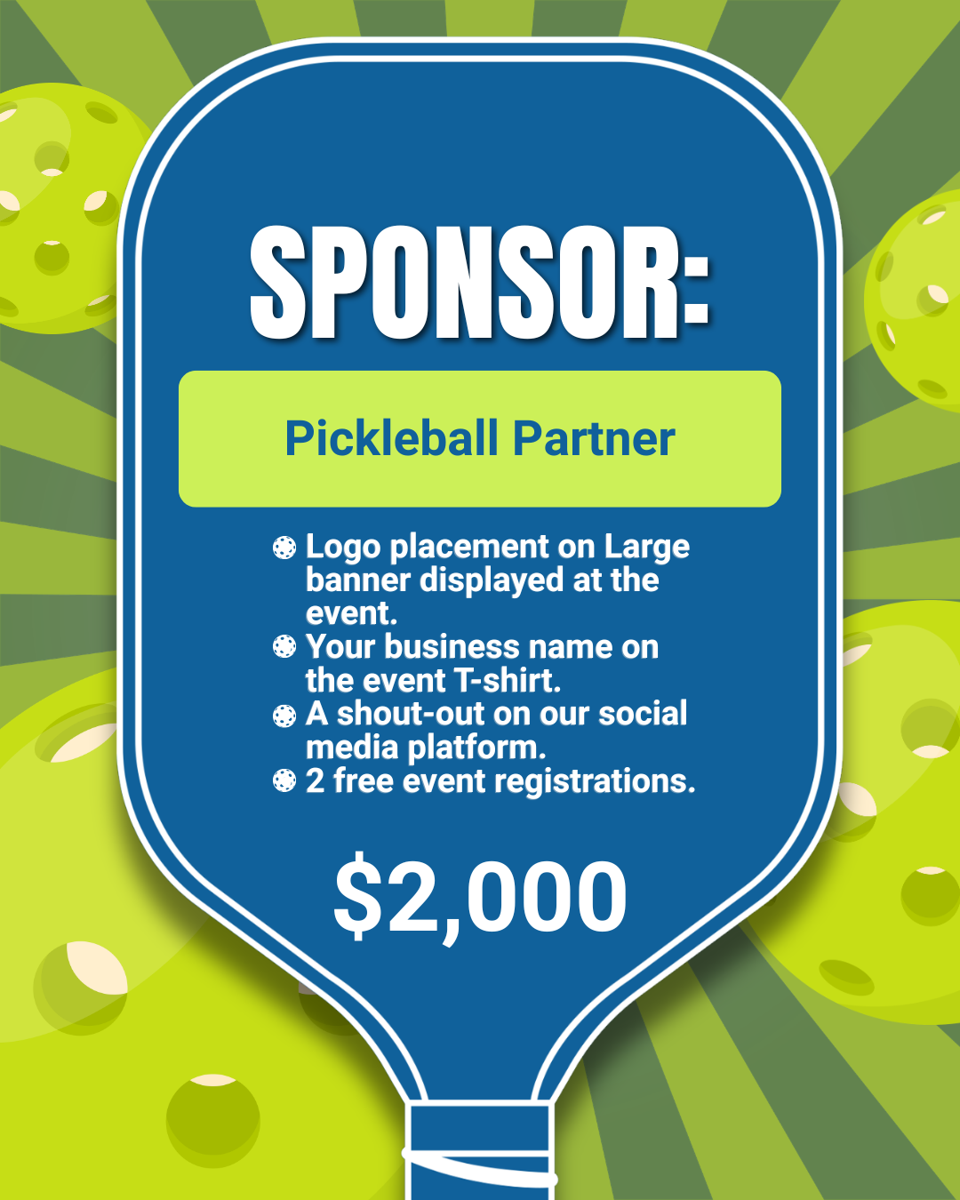 Partner Sponsor
