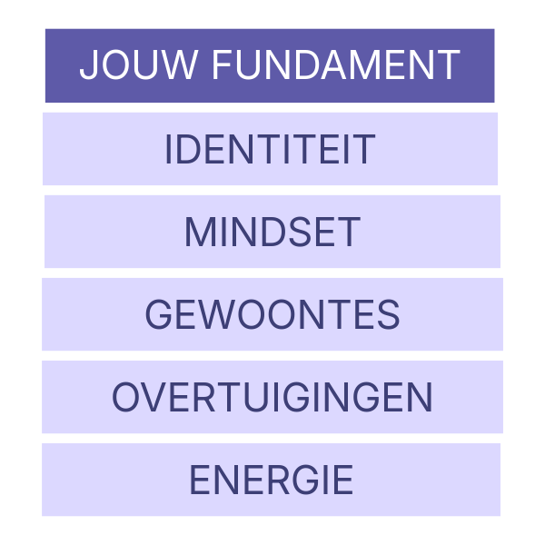 Infographic met de titel 'Jouw Fundamental' met zes onderwerpen: Identiteit, Mindset, Gewoontes, Overtuigingen, Energie, op een paar paarsgekleurde achtergrond.