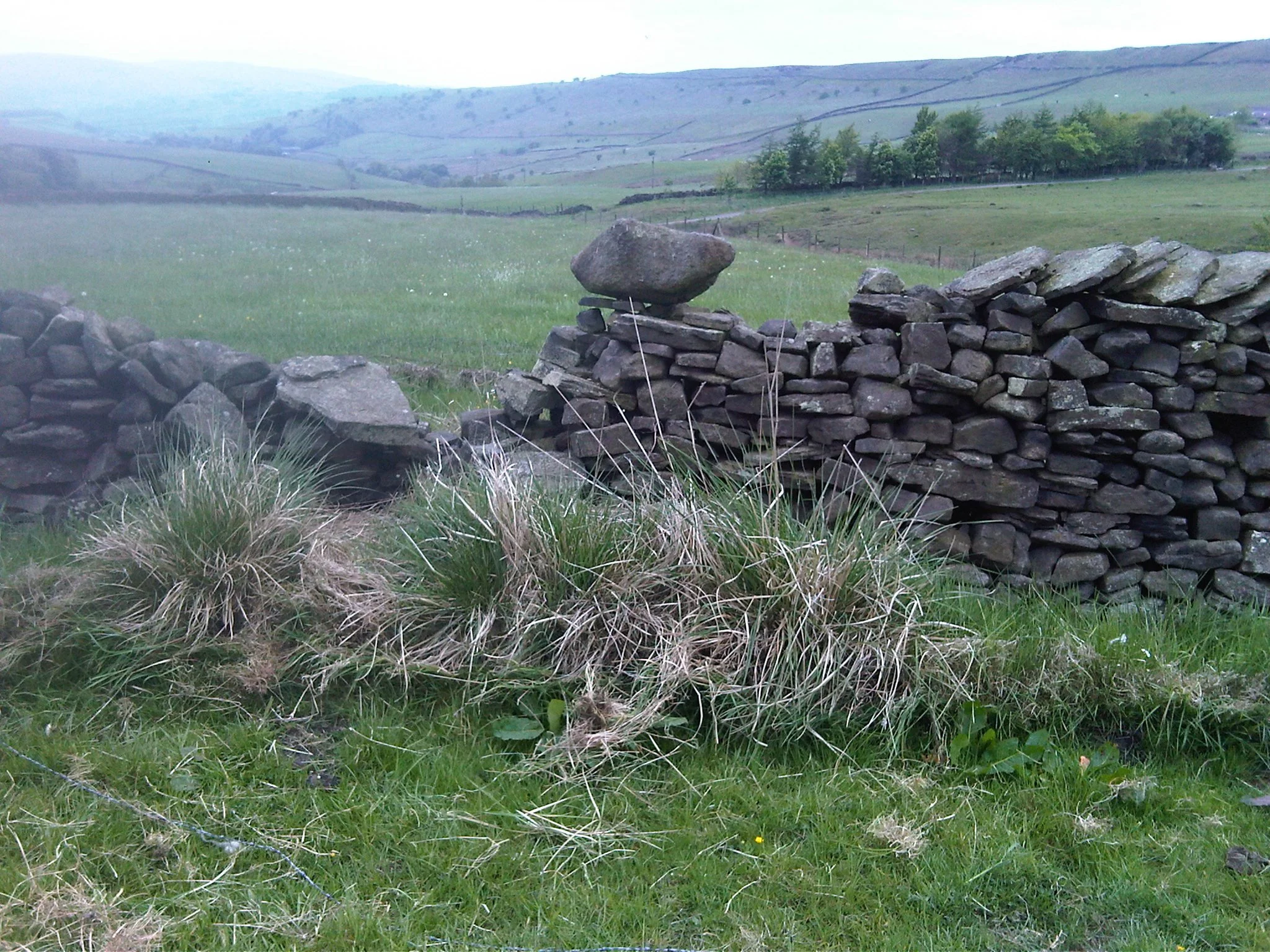 Dry Stone Walling Taster