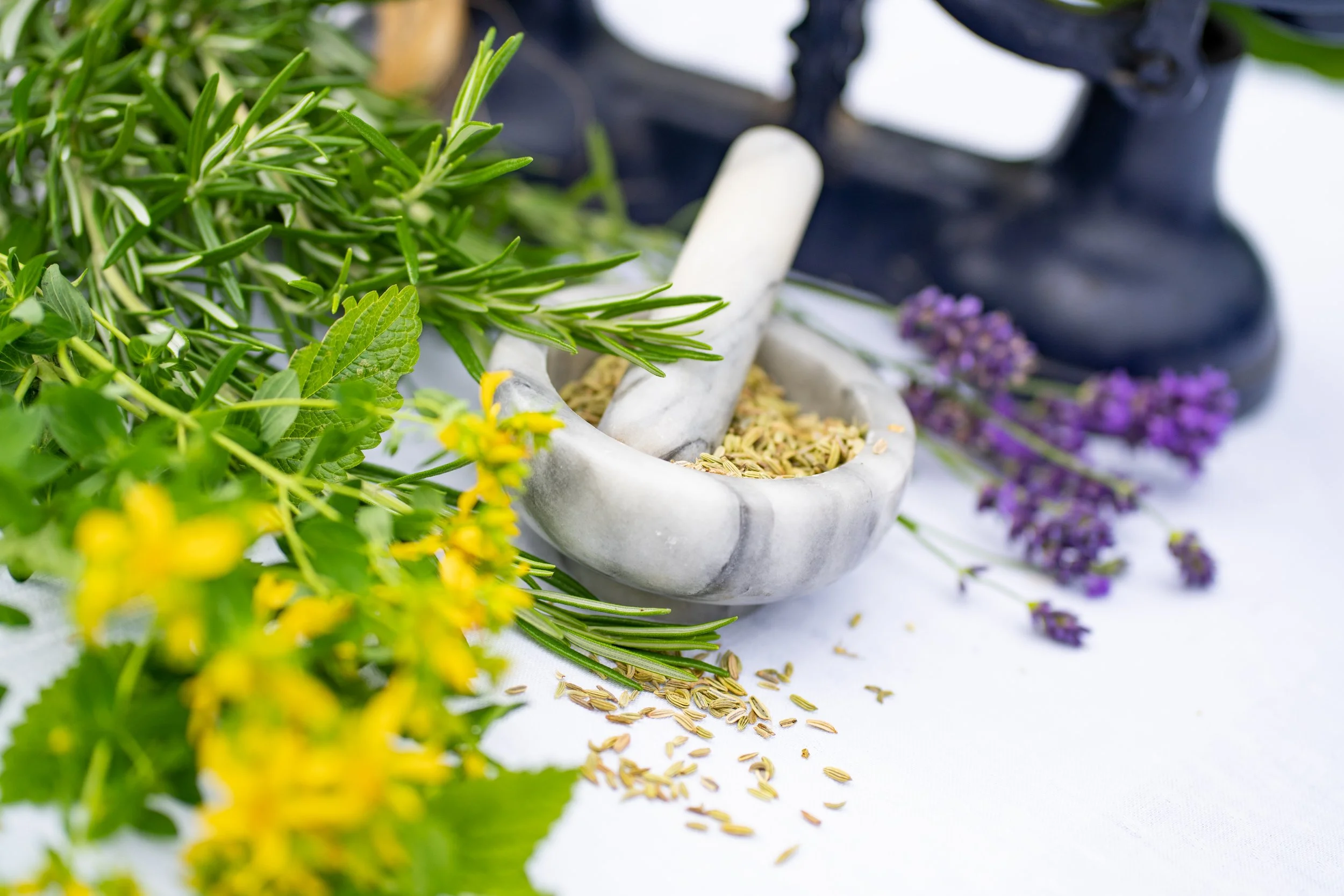 Autumn Herbal Remedies