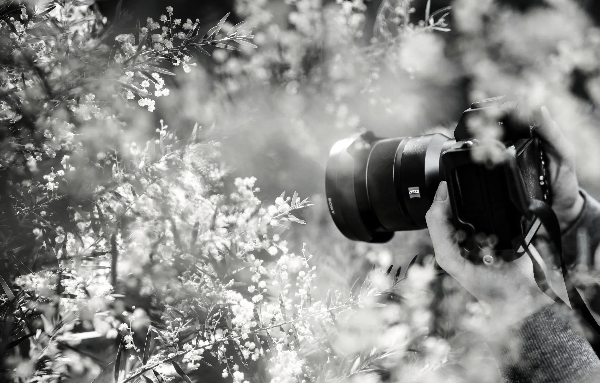 Photography - Introduction to black and white photography looking at the history and styles of photography, setting up shots and taking photos.