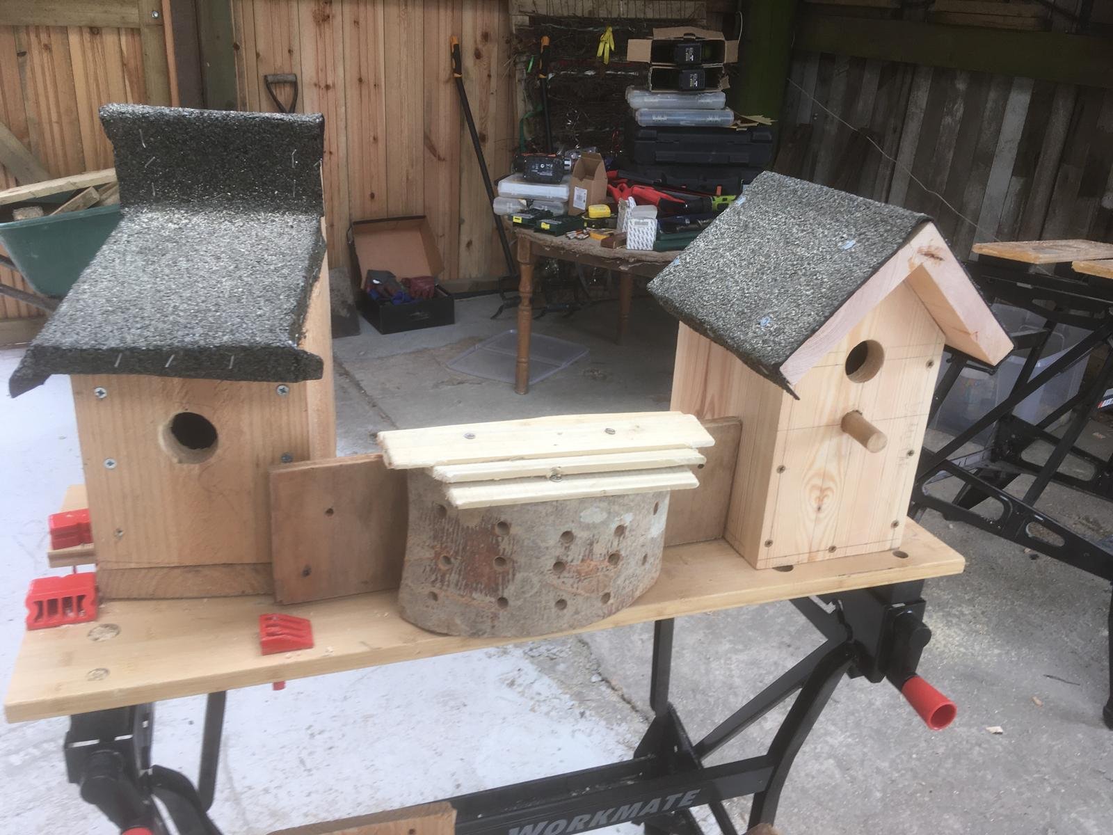 Bird Box Making