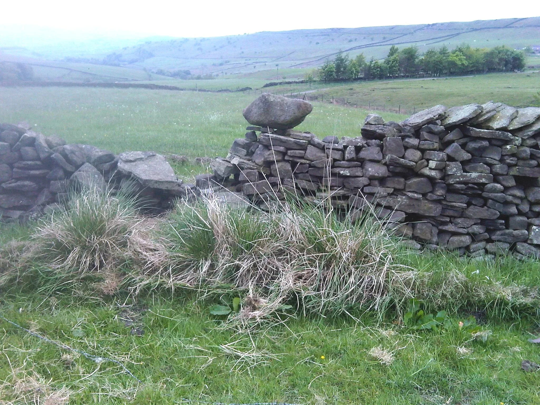 Dry Stone Walling Taster - A half day introductory course for anyone who wants to gain the basic knowledge and skills to repair dry stone walls. A practical session with added information on how to take the craft further if you wish.