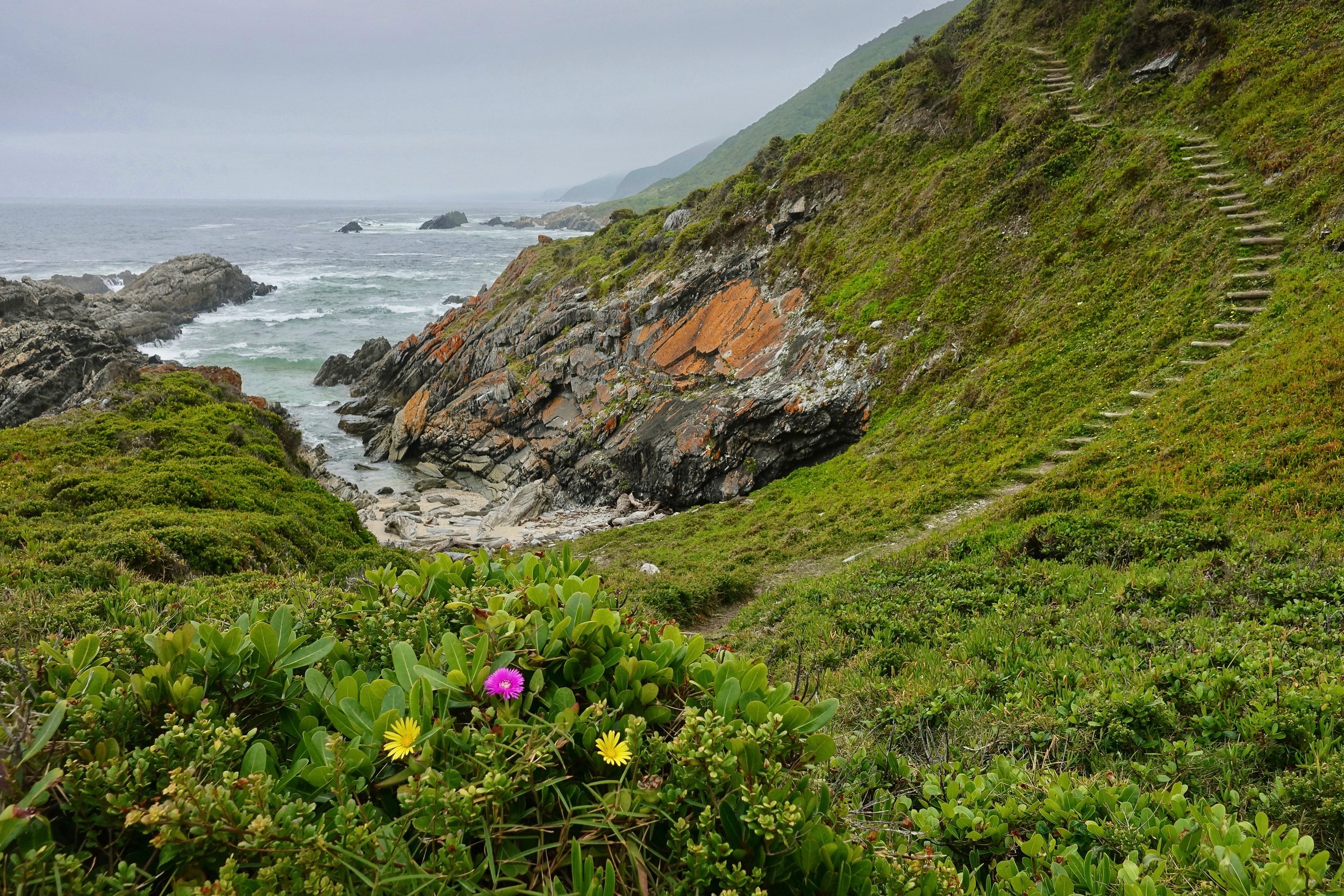 Stairs along the coast on the Otter Trail walk in South Africa