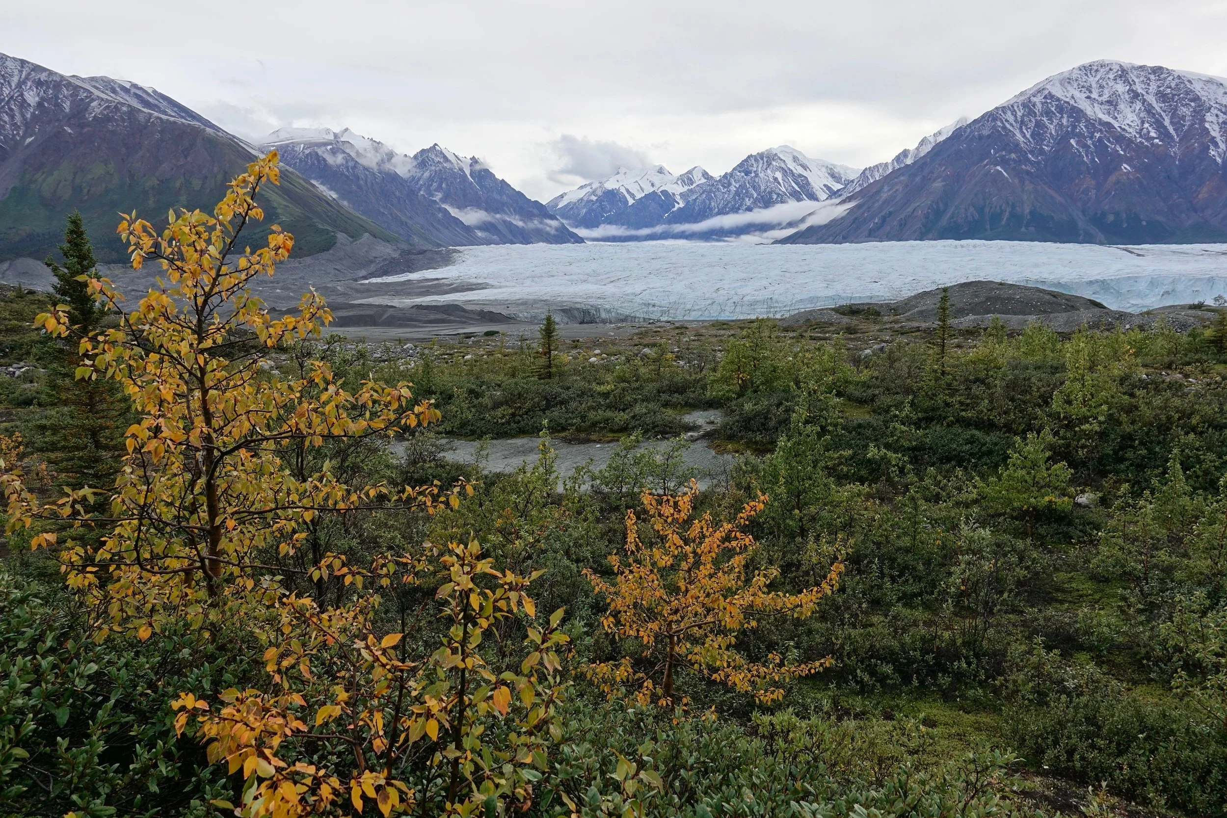 Fall colors near the Donjek Glacier in the Yukon backpacking Donjek Route