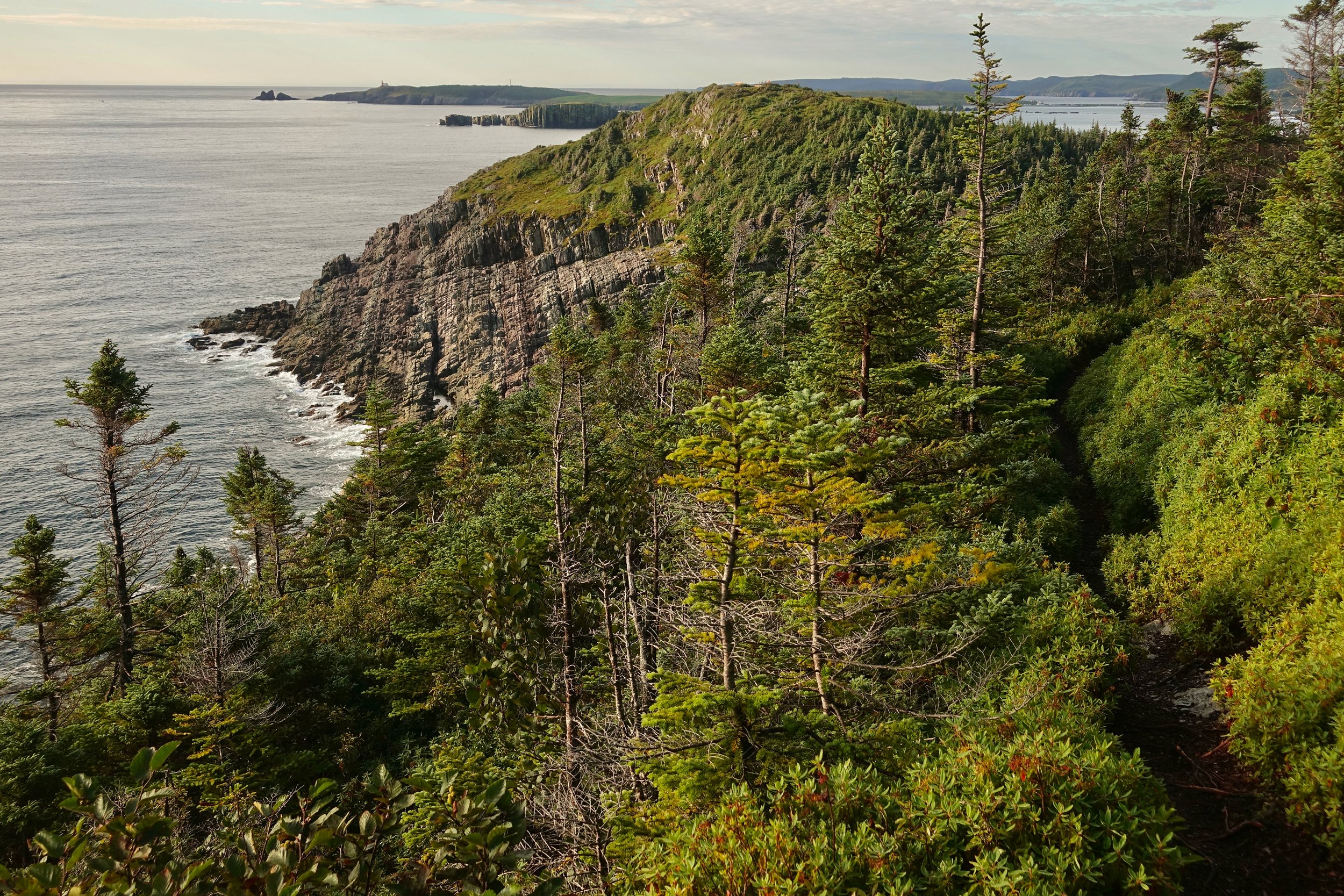 Looking back to the Ferryland lighthouse on the East Coast Trail hike in Newfoundland