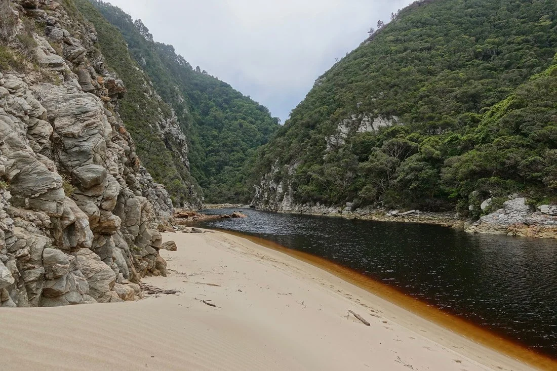 Tannin in the water on Otter Trail