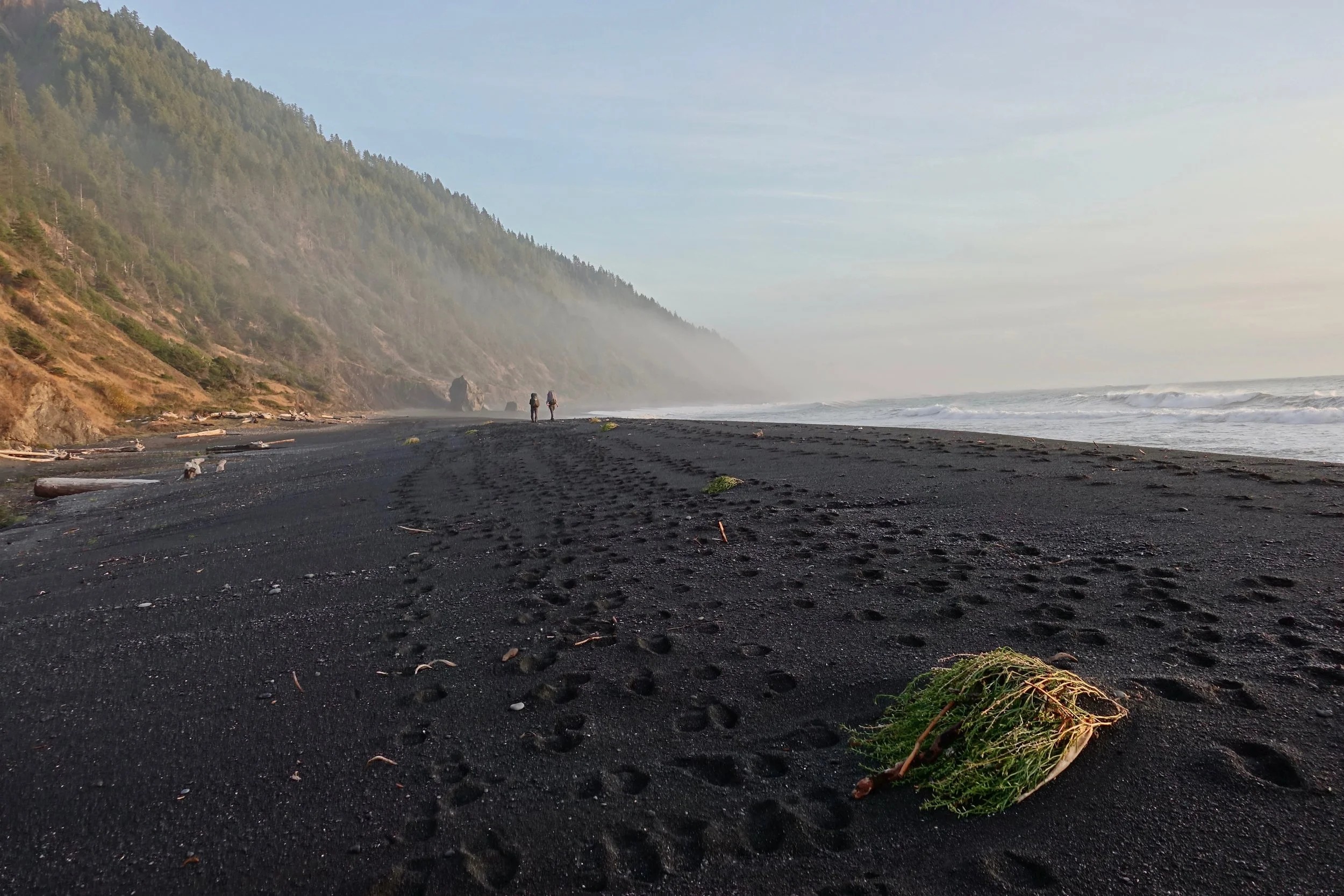 Lost Coast Trail hike on black sands beach in California