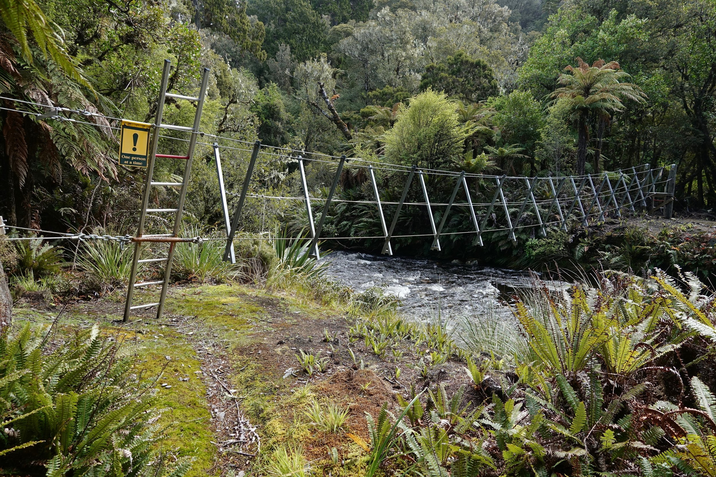 Bridge on the Northwest circuit on Stewart Island in New Zealand