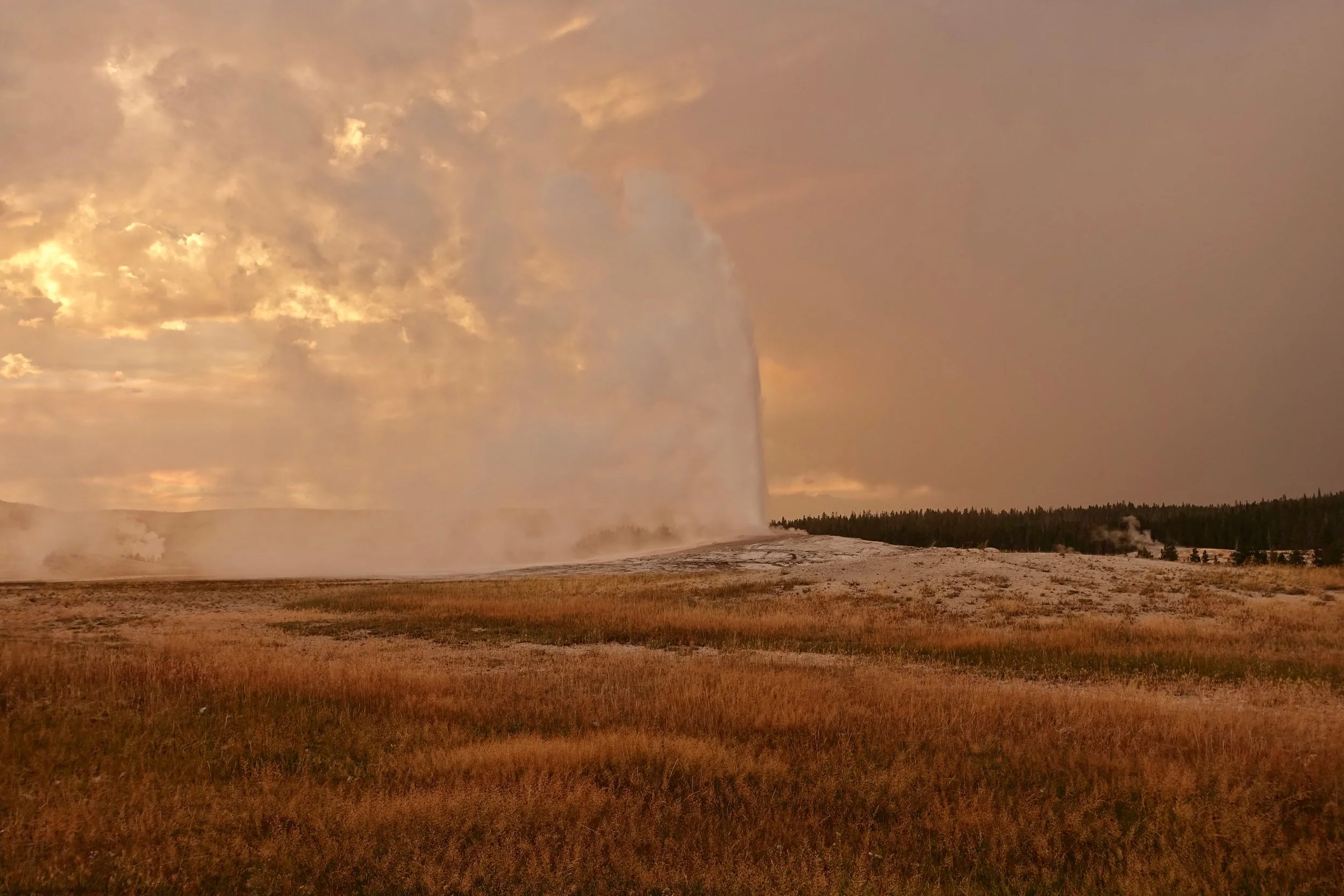 Old Faithful eruption at sunset in Yellowstone