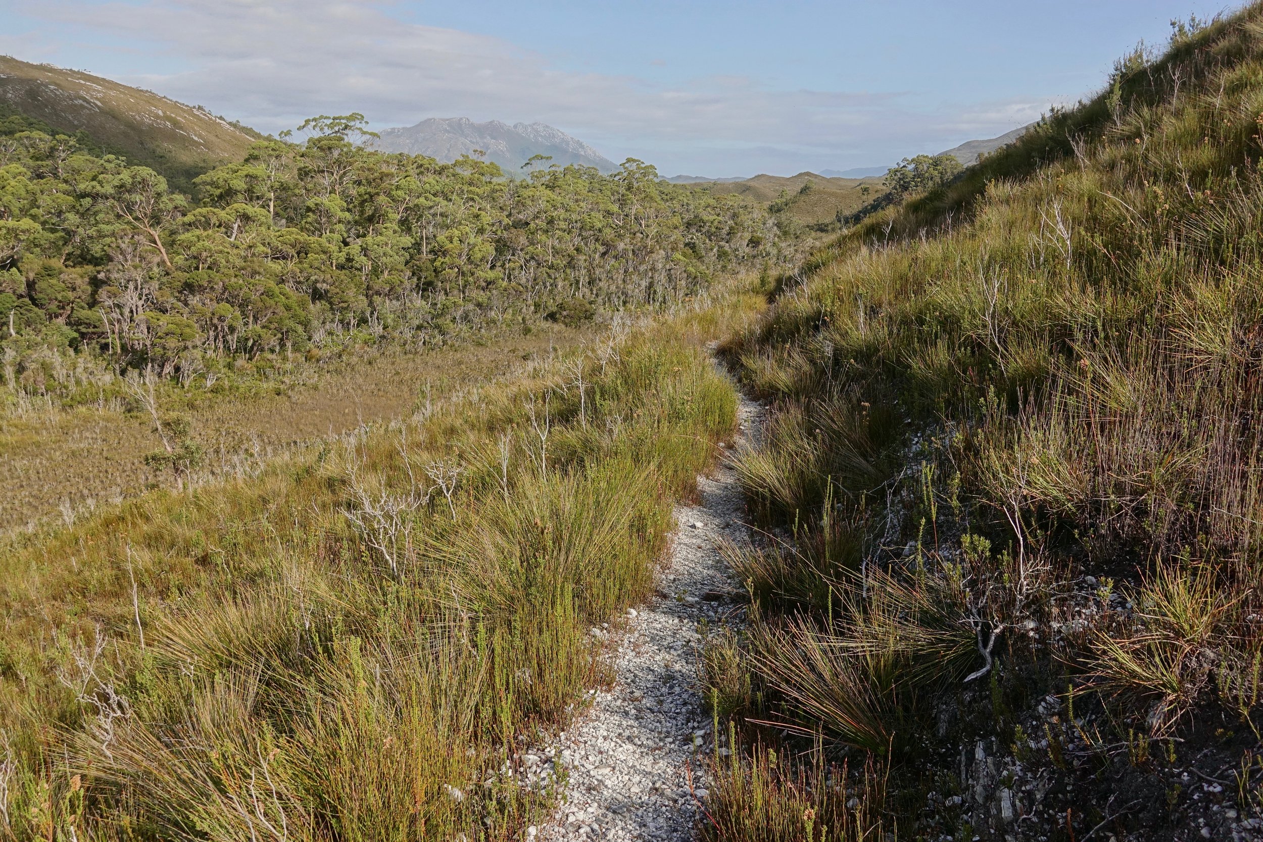 Reaching the Port Davey track