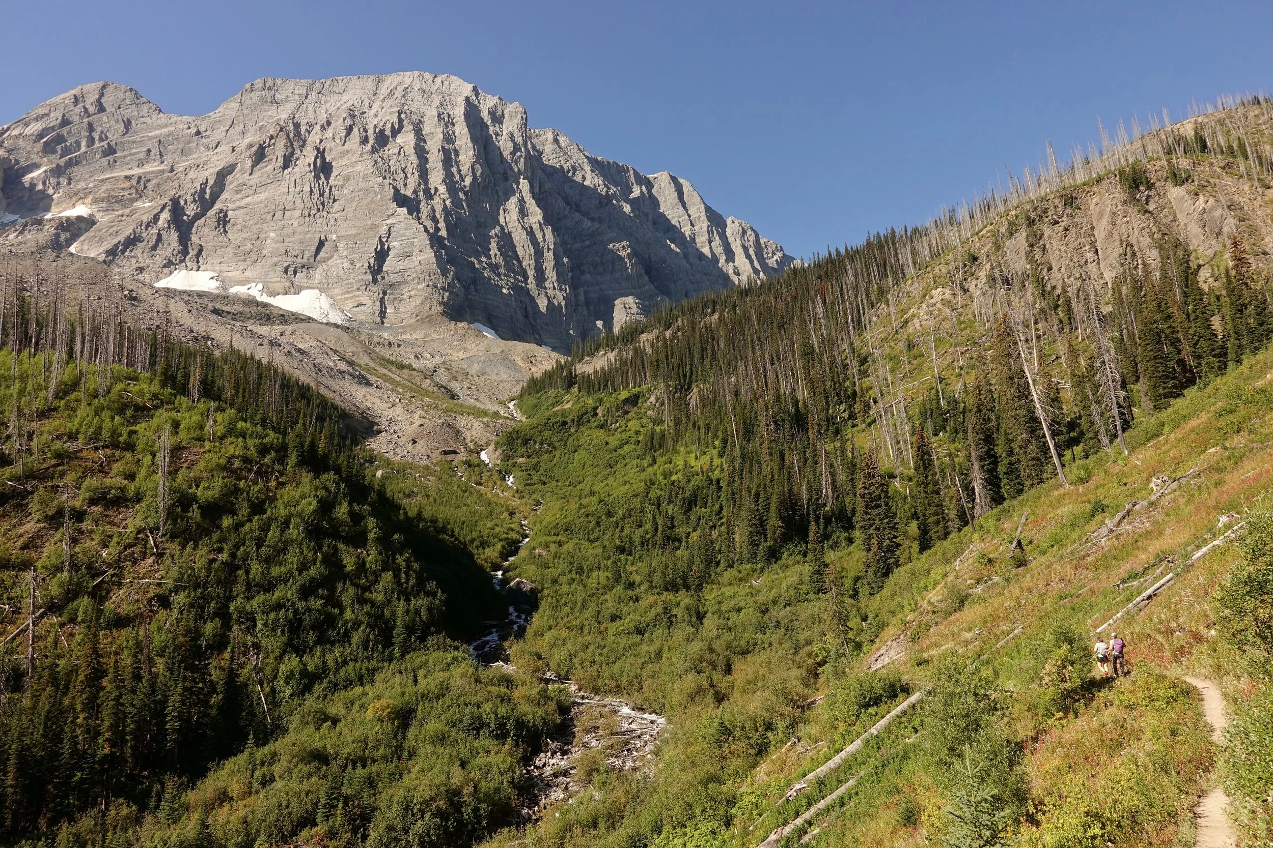 Hikers climbing up towards Floe Lake on the Rockwall trail