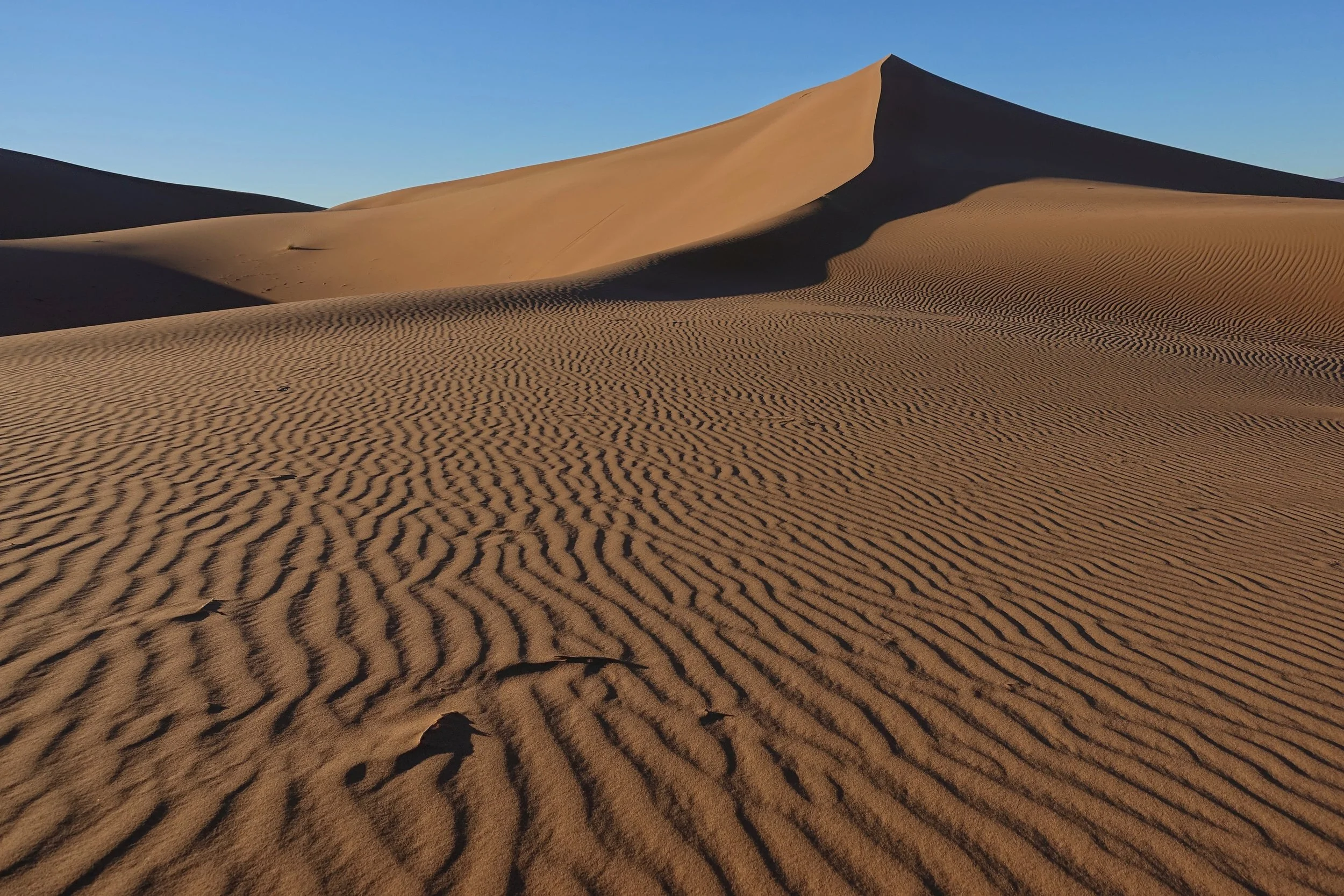 Erg Chigaga hiking in Morocco