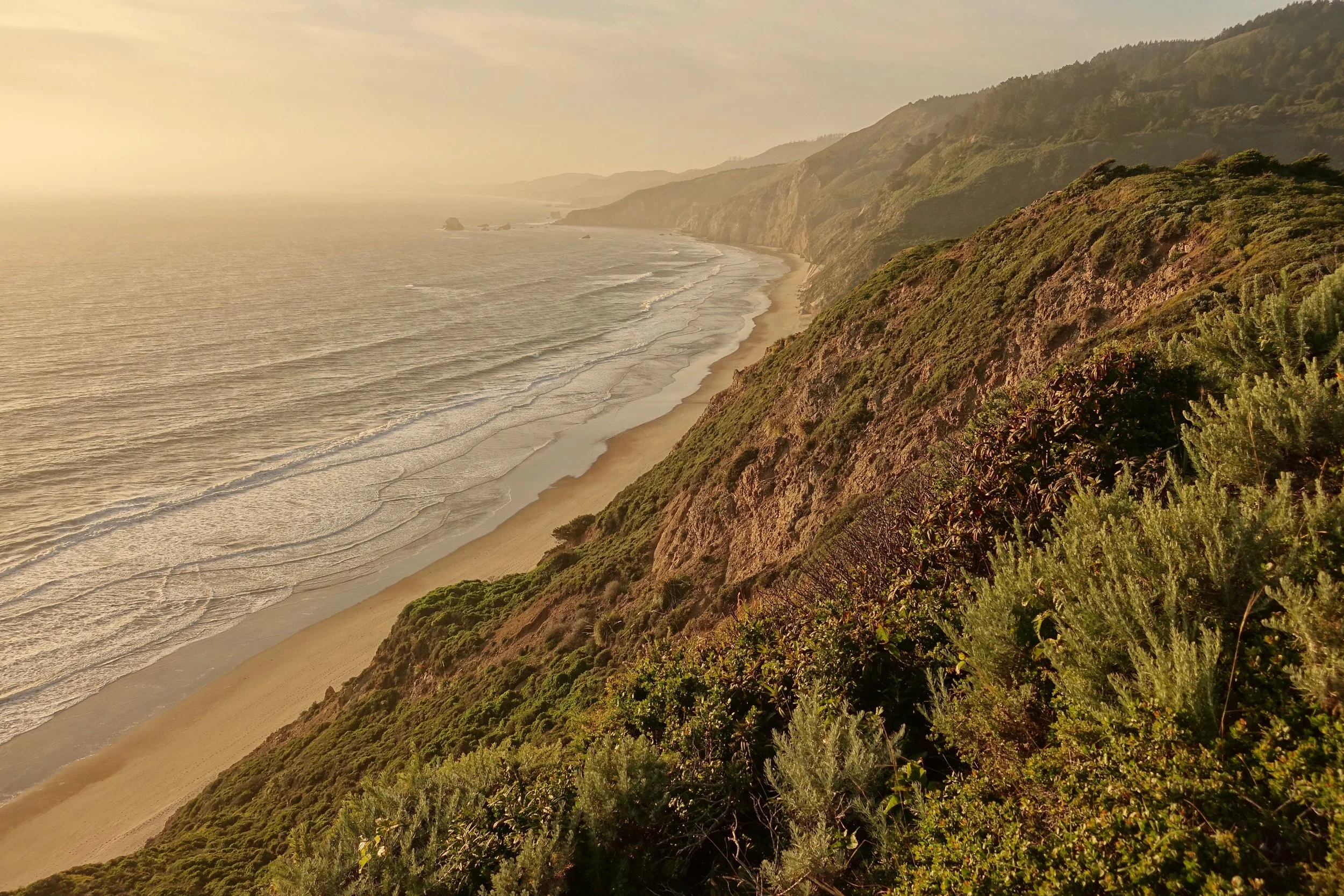 Wildcat Beach near the campground in Point Reyes California