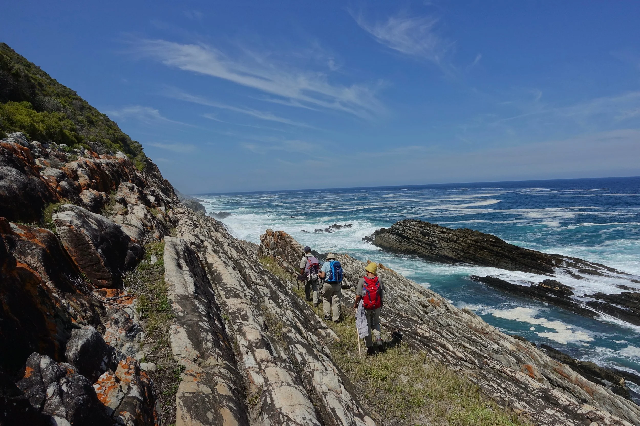 Tsitsikamma coastal hike on the Dolphin trail