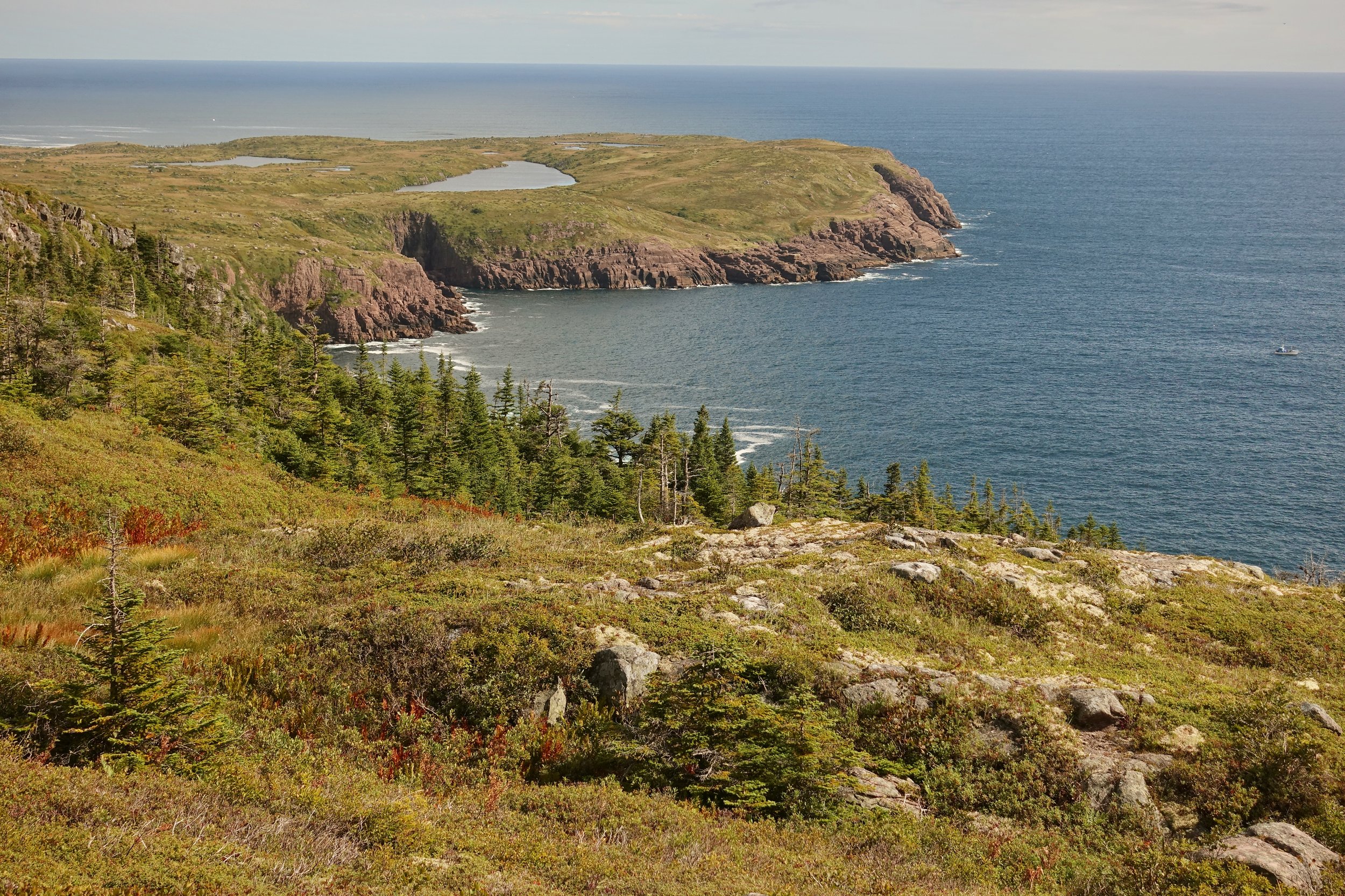 Motion Path on the East Coast Trail in Newfoundland