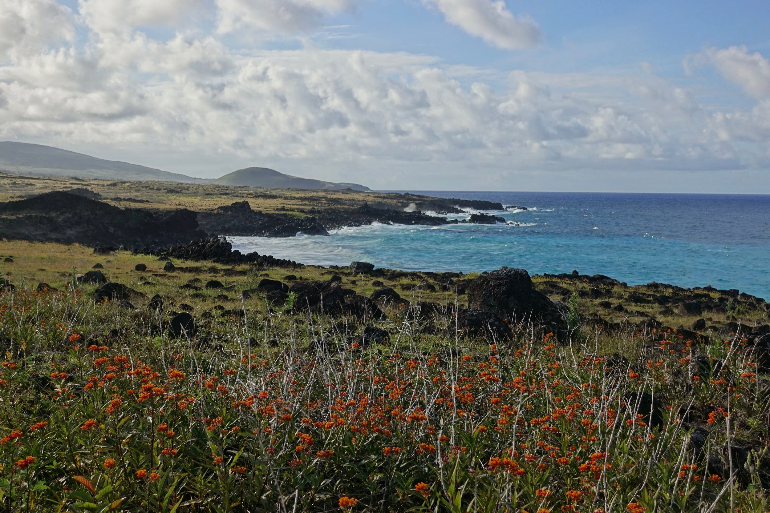The north coast on Easter Island hike
