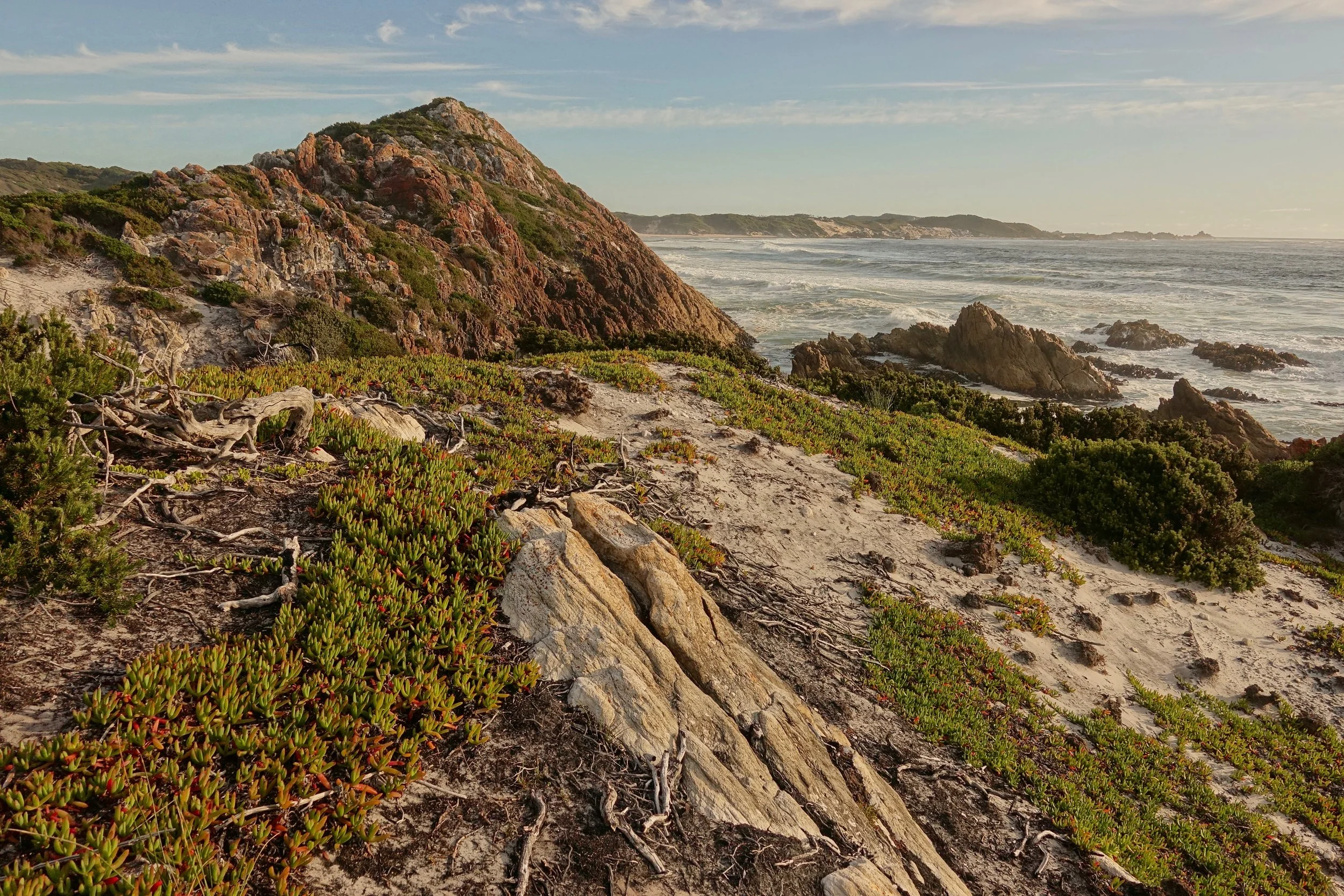 Nice evening along the West Coast in Tasmania